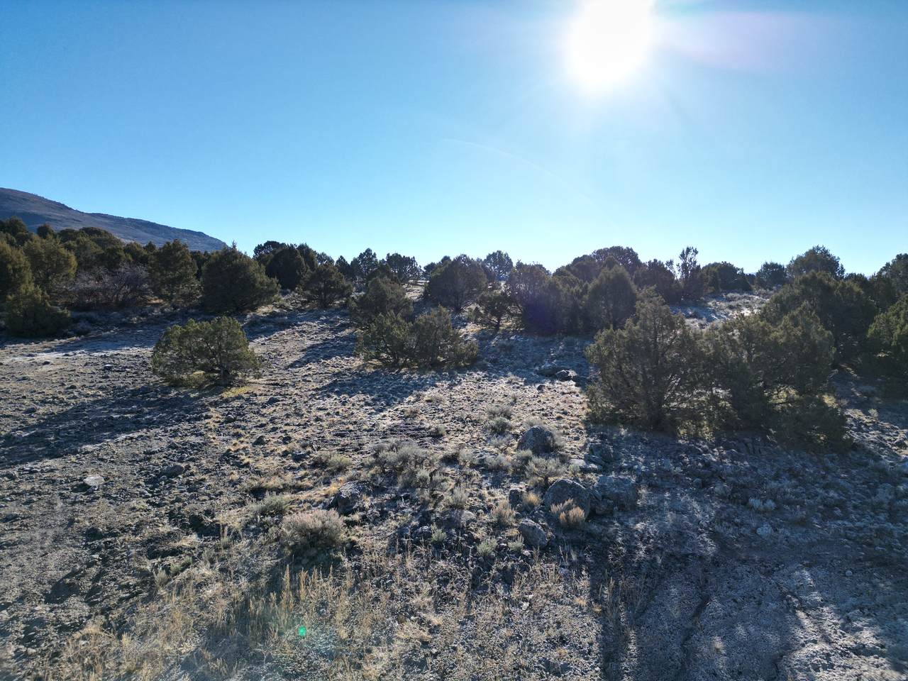 https://bt-photos.global.ssl.fastly.net/wasatch/1280_boomver_1_2141238-1.jpg