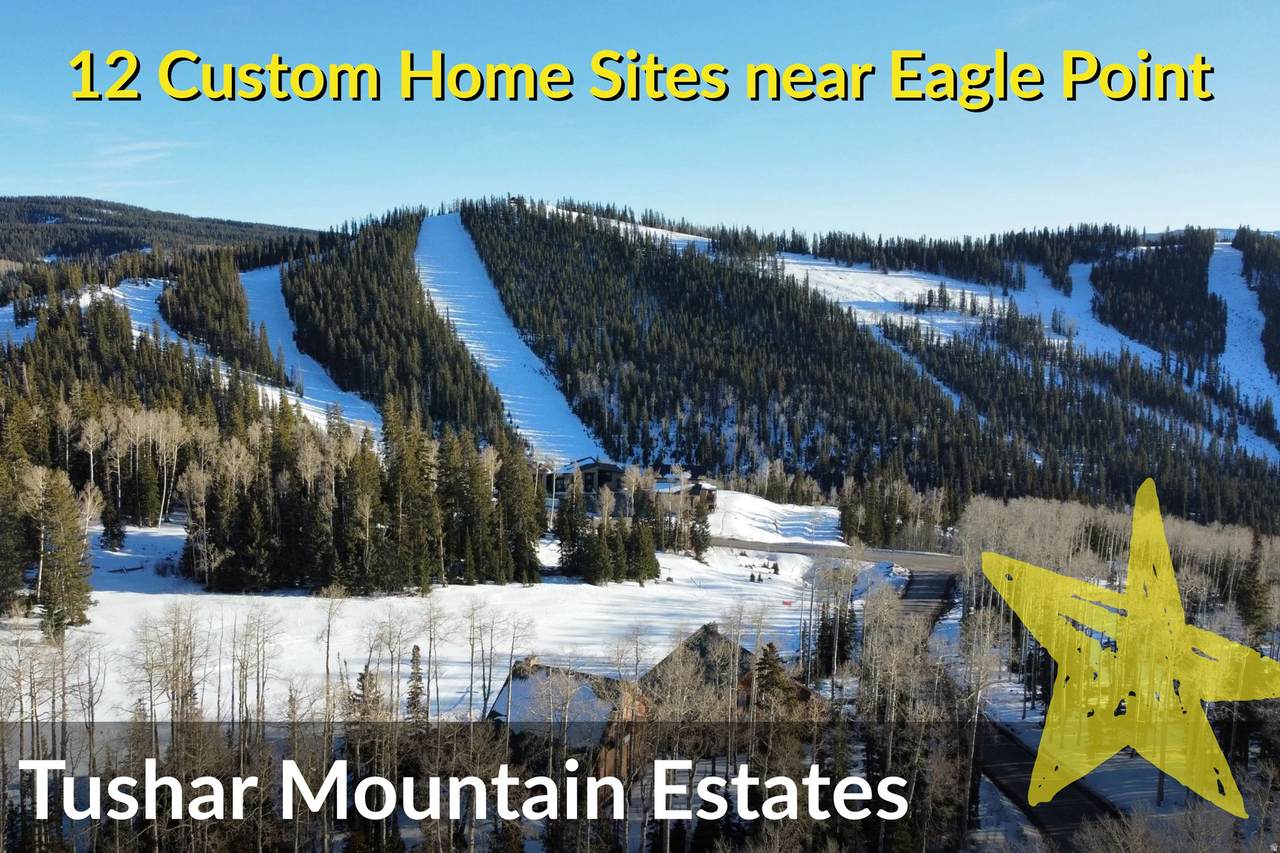 1 Tushar Mountain Ests - Photo 1