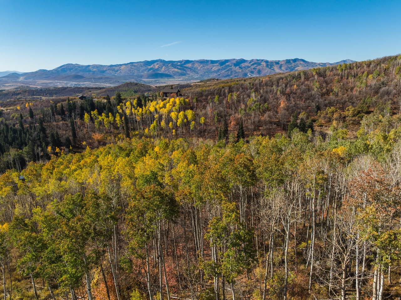 145 Forest Meadow Rd - Photo 1