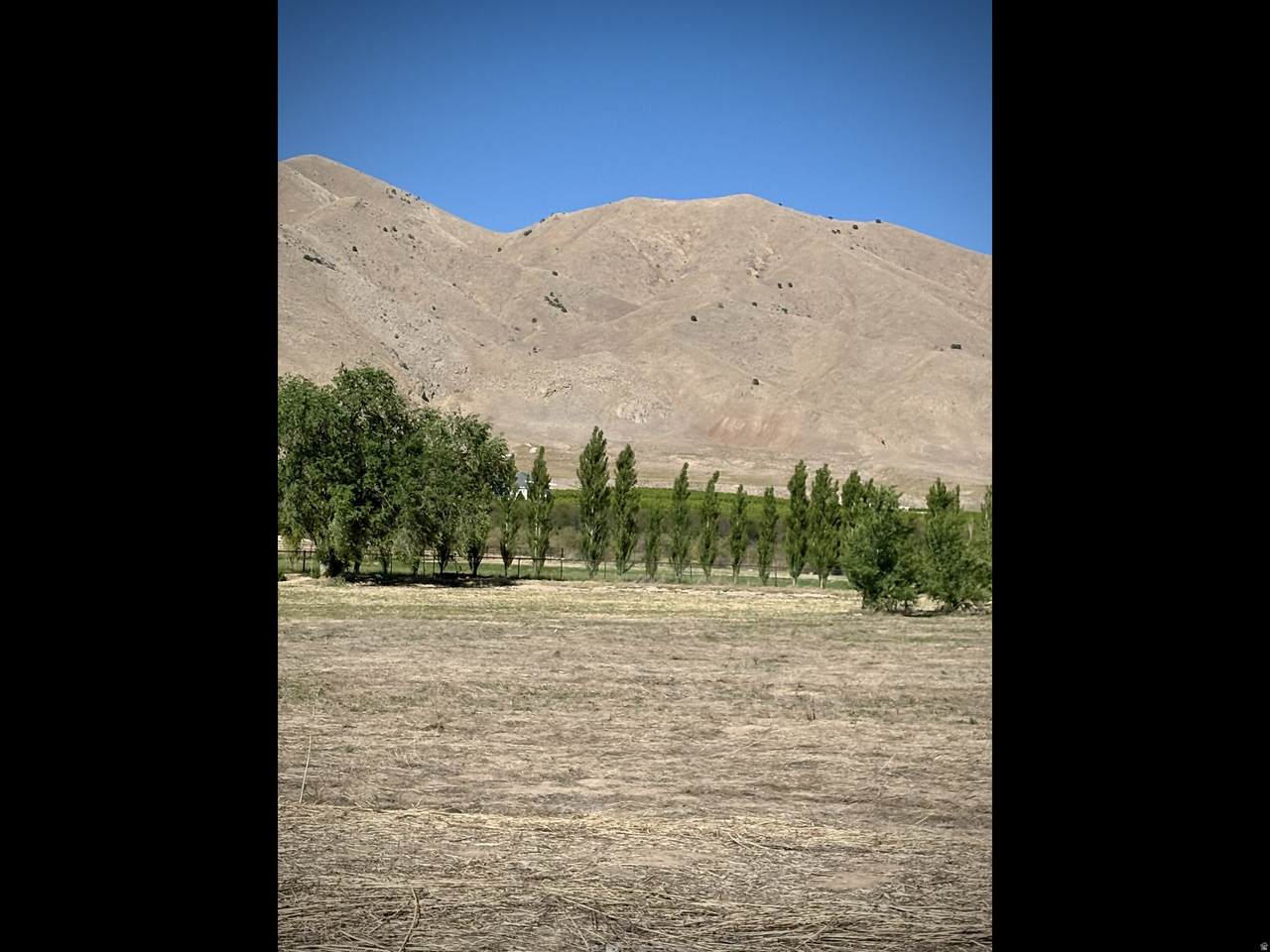 https://bt-photos.global.ssl.fastly.net/wasatch/1280_boomver_2_2142533-1.jpg
