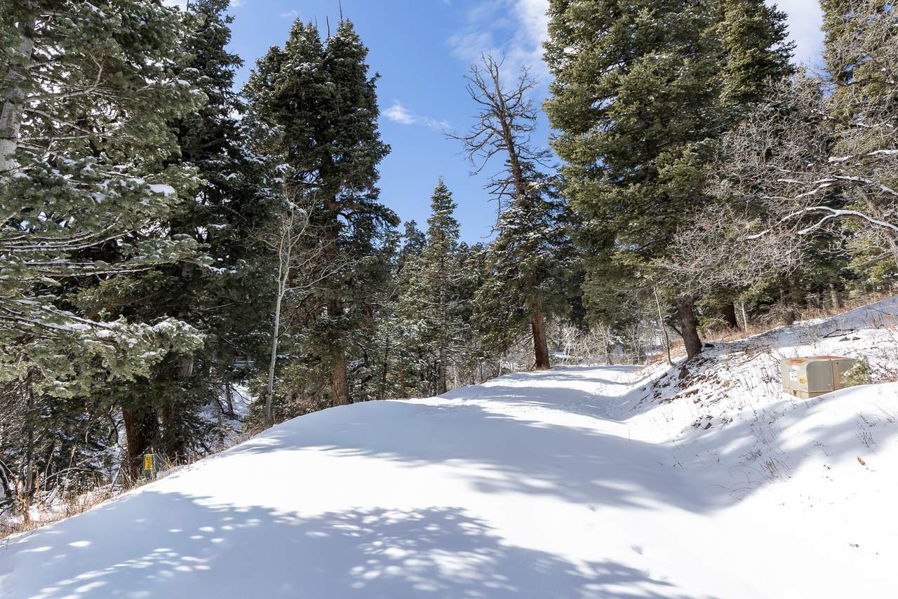 2299 Yellow Moon Cir - Photo 1