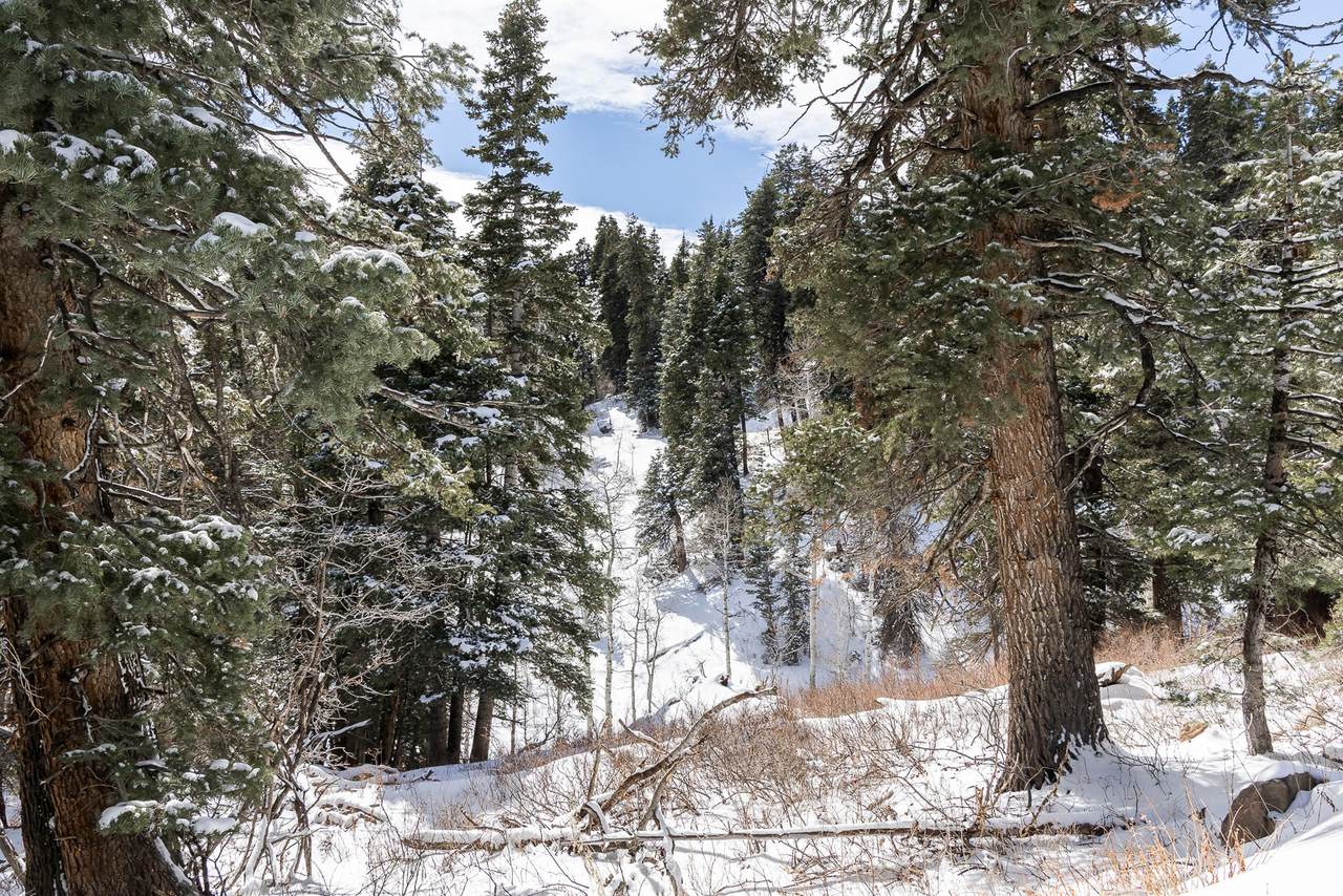 https://bt-photos.global.ssl.fastly.net/wasatch/1280_boomver_1_2142558-1.jpg