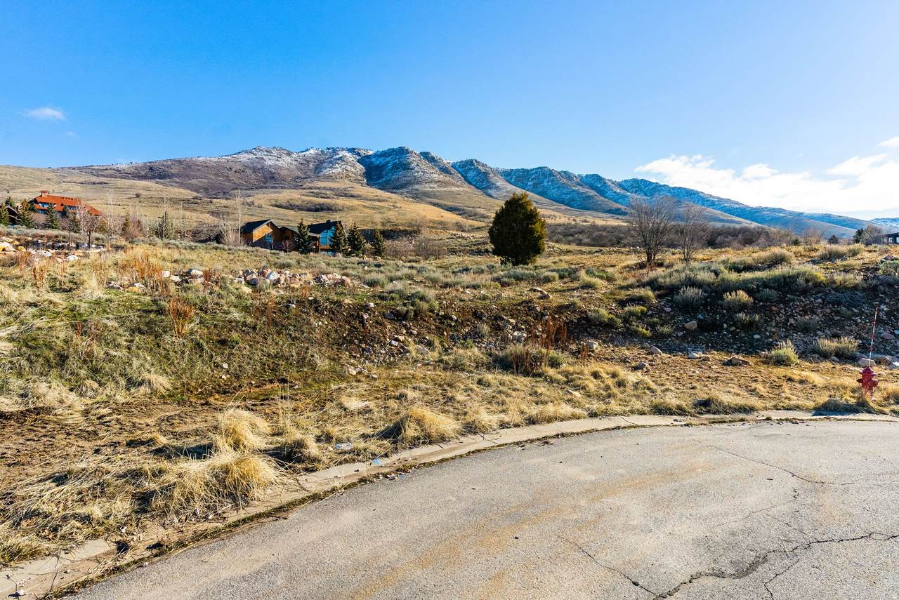 https://bt-photos.global.ssl.fastly.net/wasatch/1280_boomver_1_2143056-1.jpg