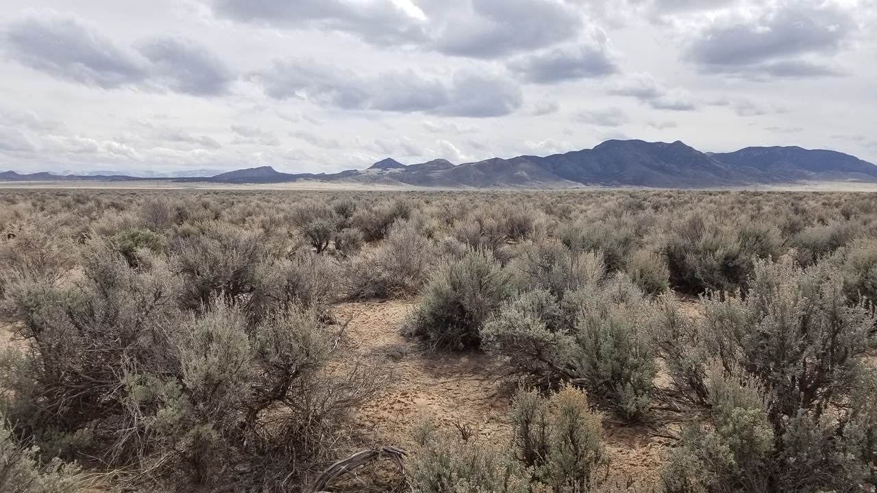 https://bt-photos.global.ssl.fastly.net/wasatch/1280_boomver_1_2143587-1.jpg