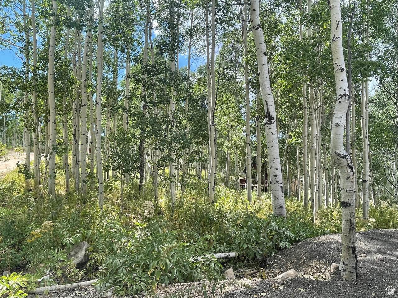 https://bt-photos.global.ssl.fastly.net/wasatch/1280_boomver_1_2143681-1.jpg
