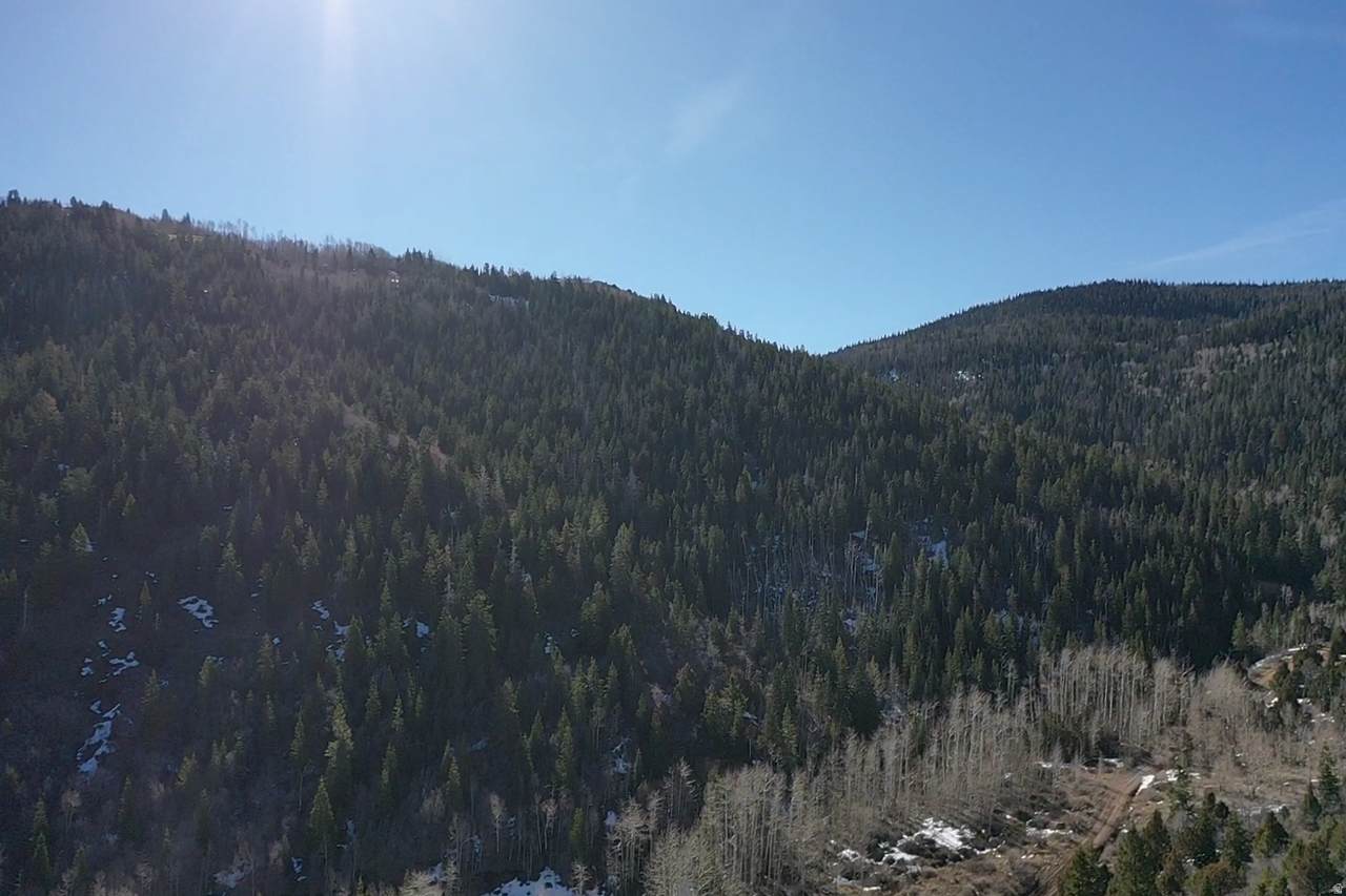 https://bt-photos.global.ssl.fastly.net/wasatch/1280_boomver_1_2143882-1.jpg