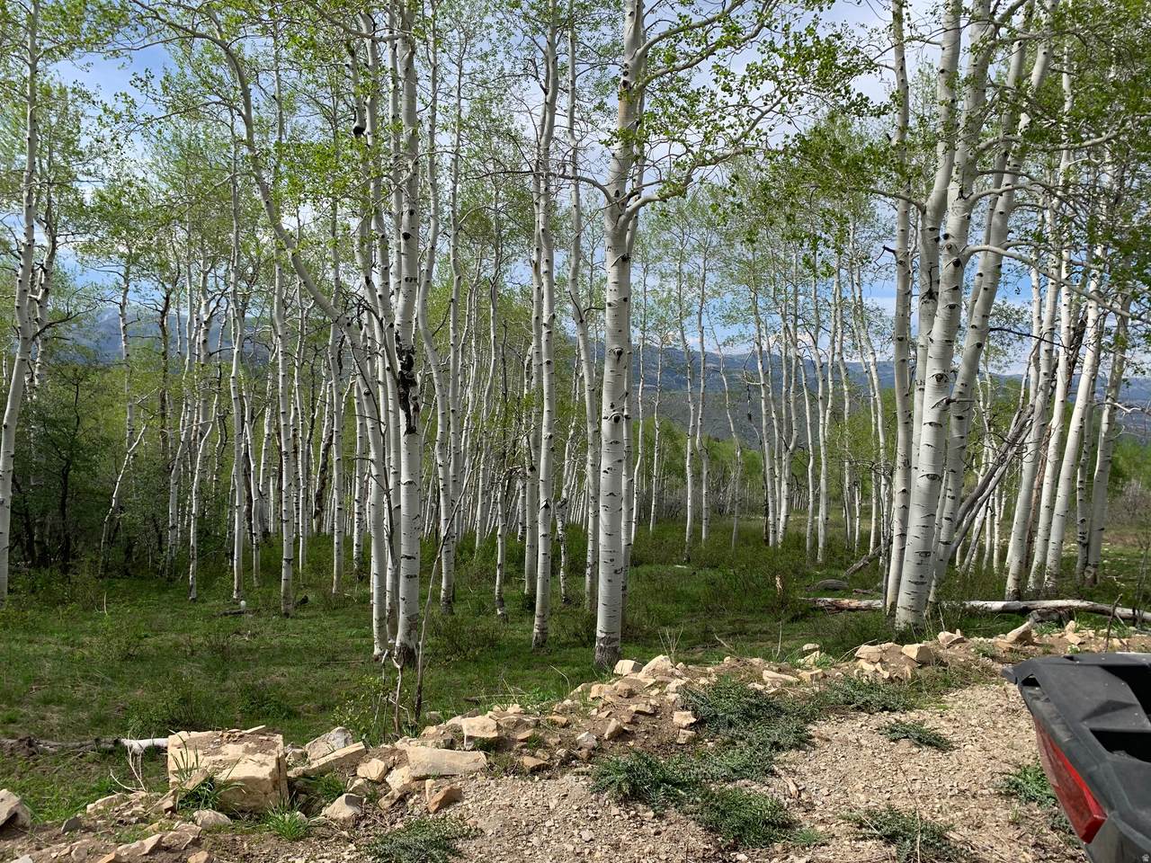https://bt-photos.global.ssl.fastly.net/wasatch/1280_boomver_1_2144284-1.jpg
