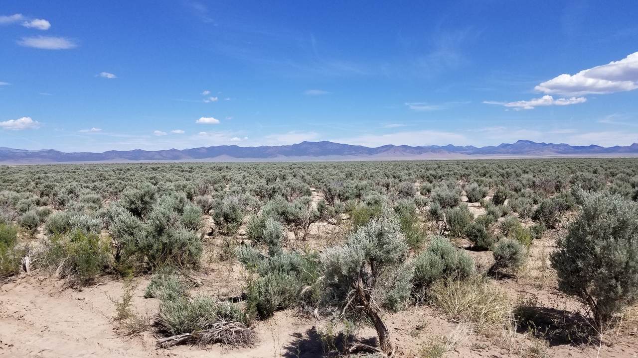 https://bt-photos.global.ssl.fastly.net/wasatch/1280_boomver_1_2144444-1.jpg