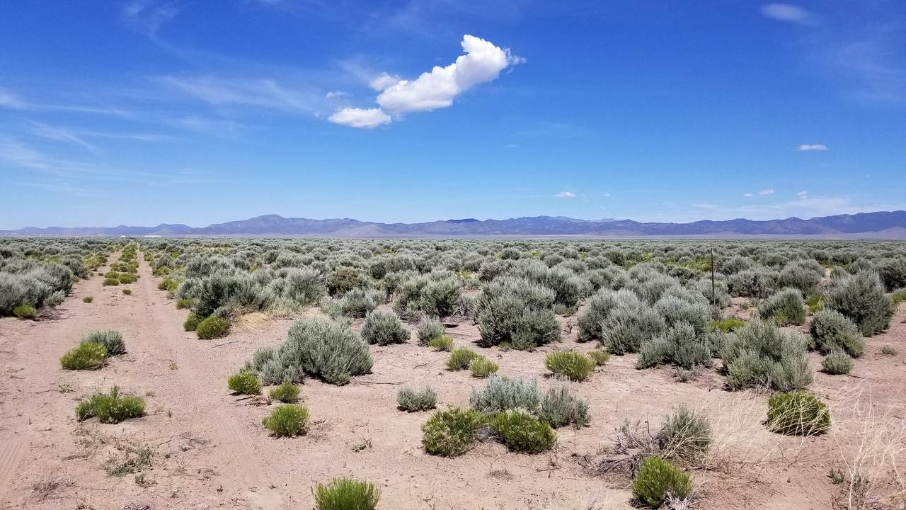 https://bt-photos.global.ssl.fastly.net/wasatch/1280_boomver_1_2144446-1.jpg