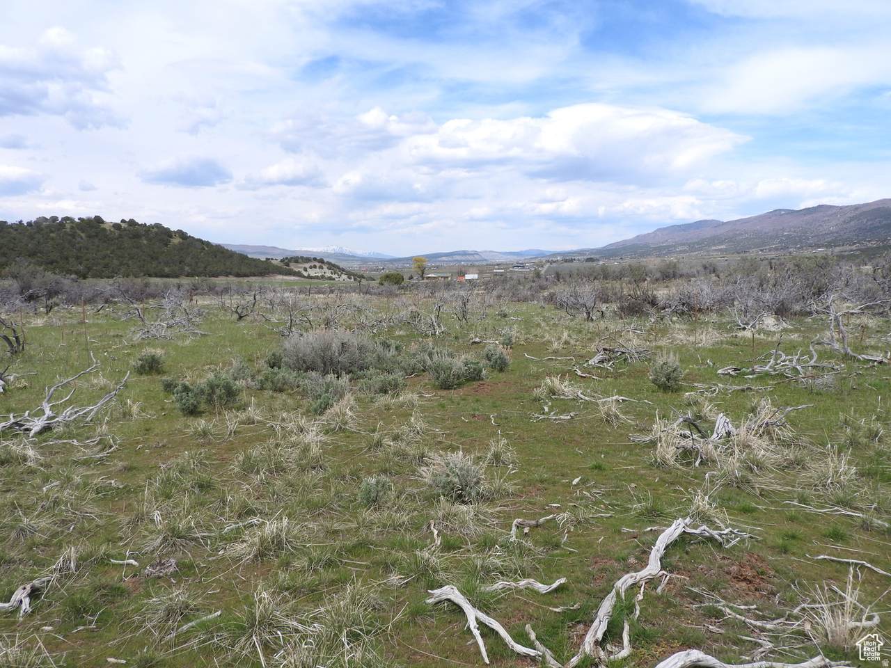 https://bt-photos.global.ssl.fastly.net/wasatch/1280_boomver_1_2144463-1.jpg