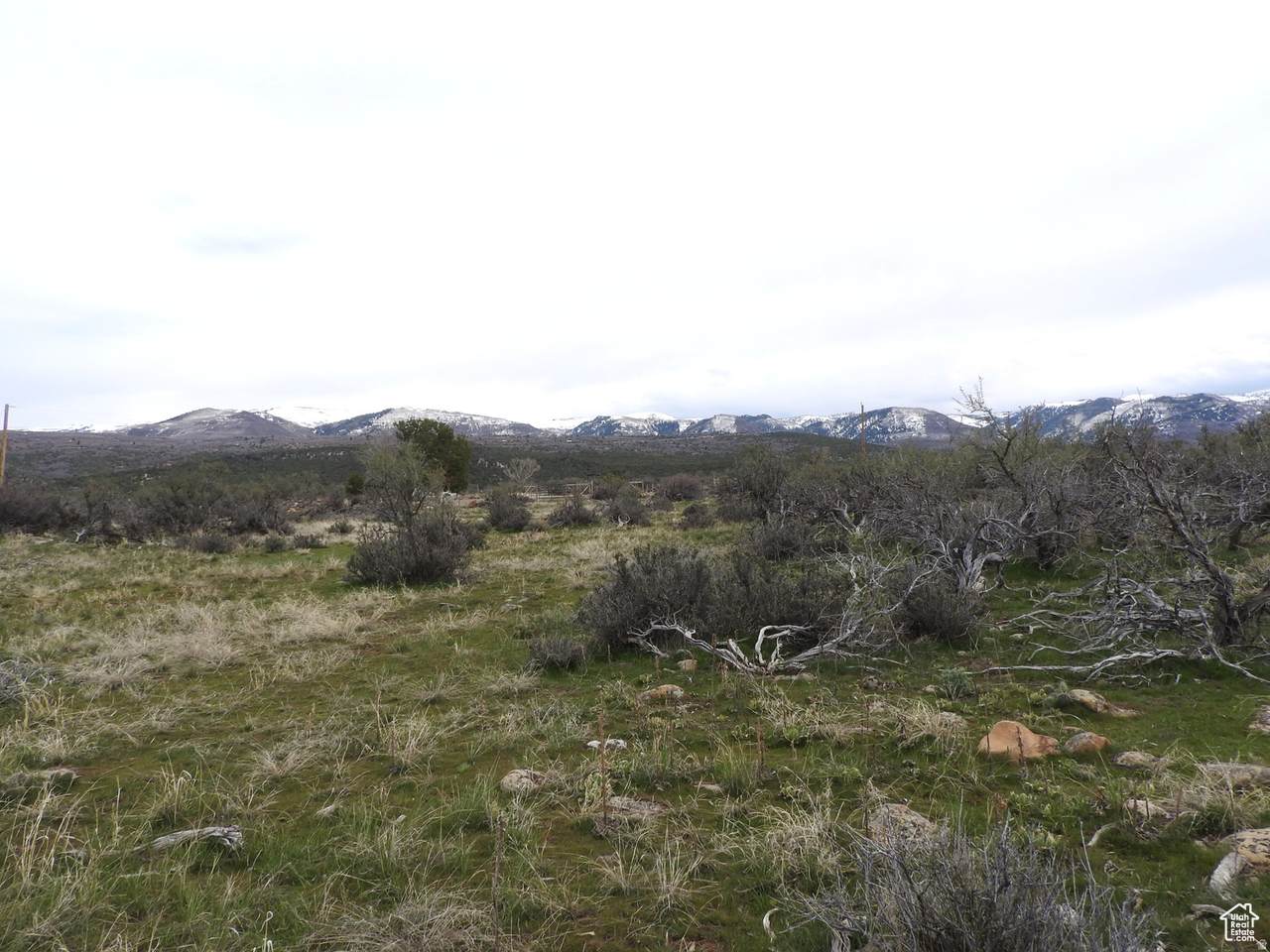 https://bt-photos.global.ssl.fastly.net/wasatch/1280_boomver_1_2144463-1.jpg