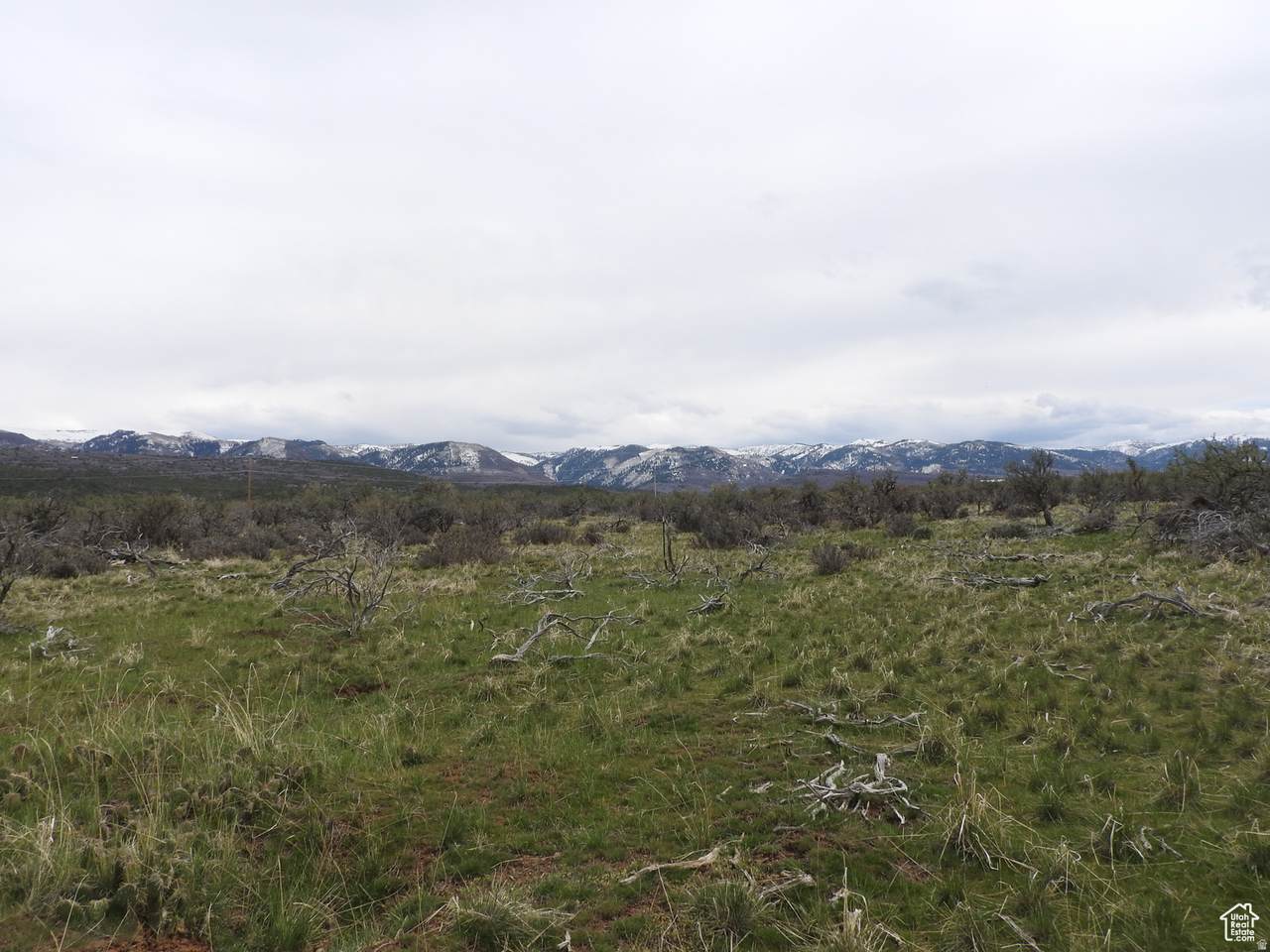 https://bt-photos.global.ssl.fastly.net/wasatch/1280_boomver_1_2144463-1.jpg