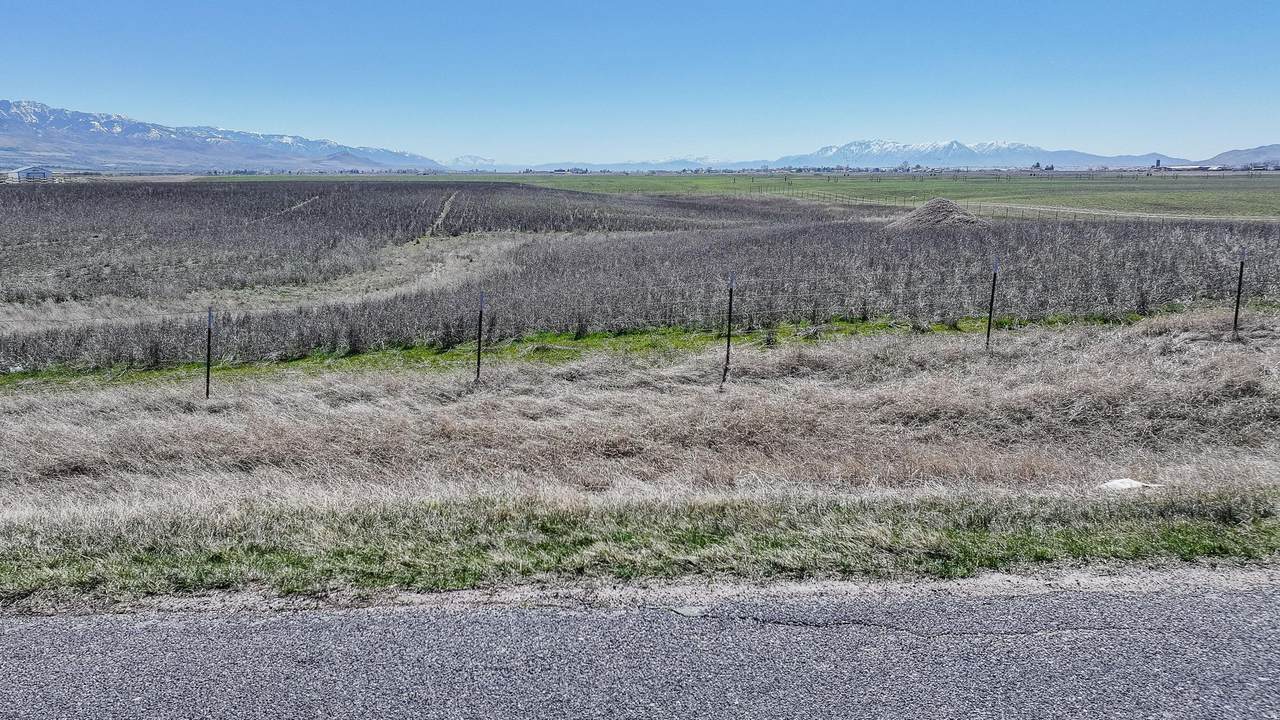 https://bt-photos.global.ssl.fastly.net/wasatch/1280_boomver_1_2144756-1.jpg