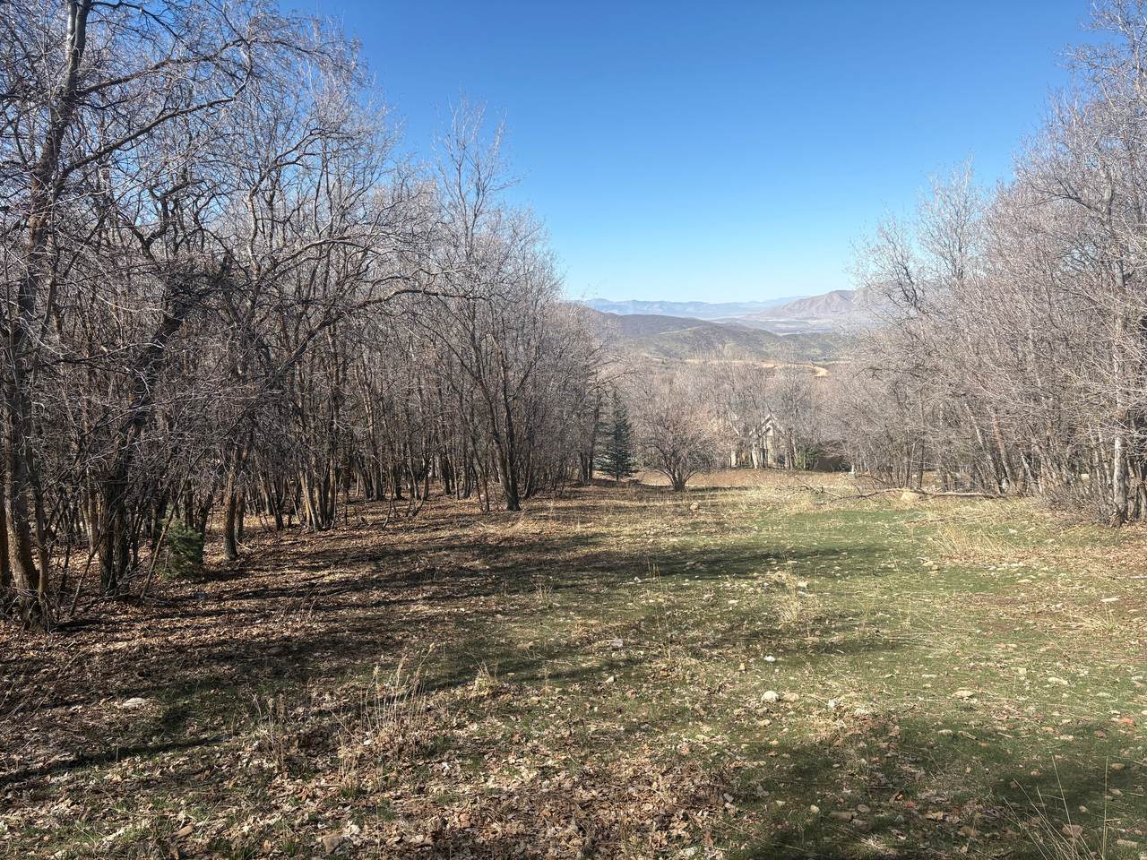 1040 Pineview Rd - Photo 1