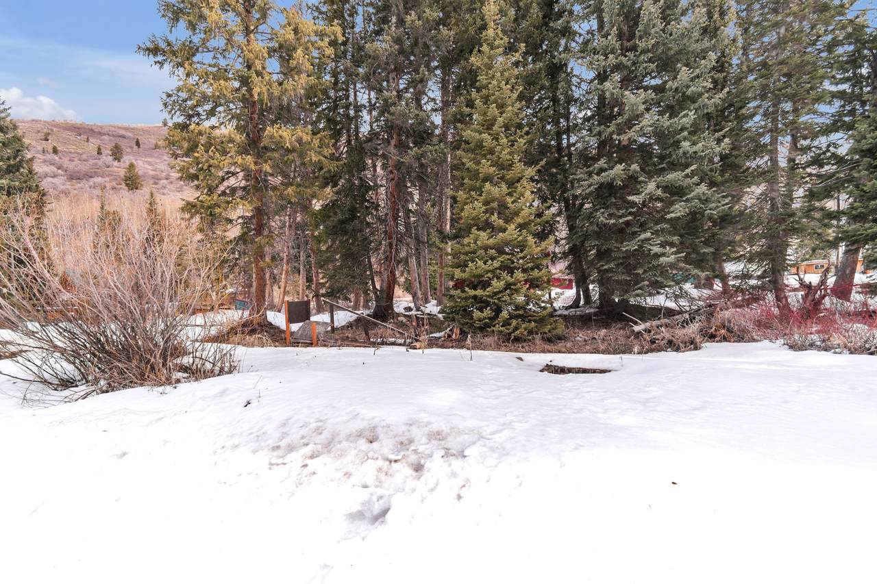 10840 Moose Run Ln - Photo 1