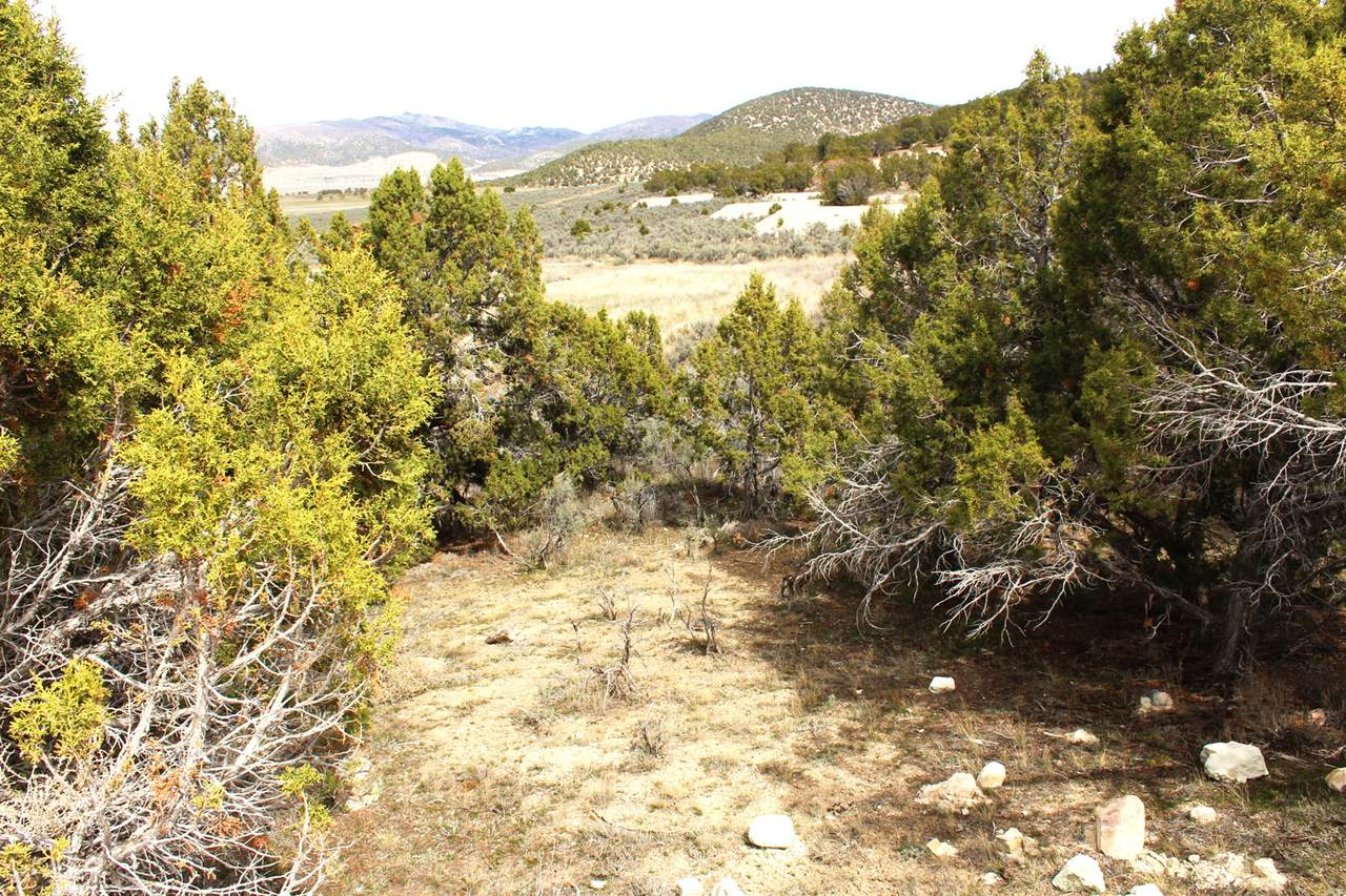 https://bt-photos.global.ssl.fastly.net/wasatch/1280_boomver_1_2145287-1.jpg