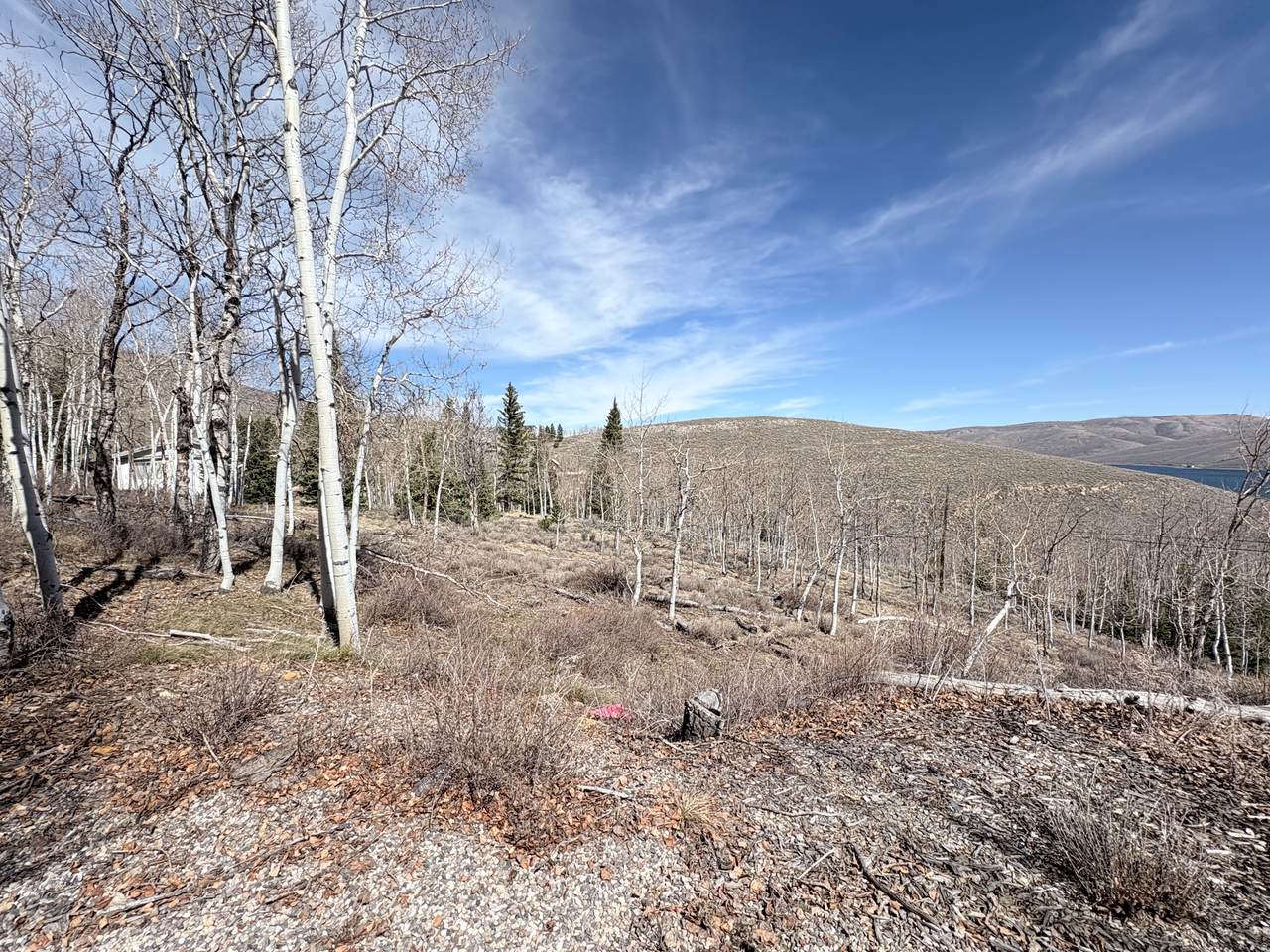 https://bt-photos.global.ssl.fastly.net/wasatch/1280_boomver_1_2145341-1.jpg