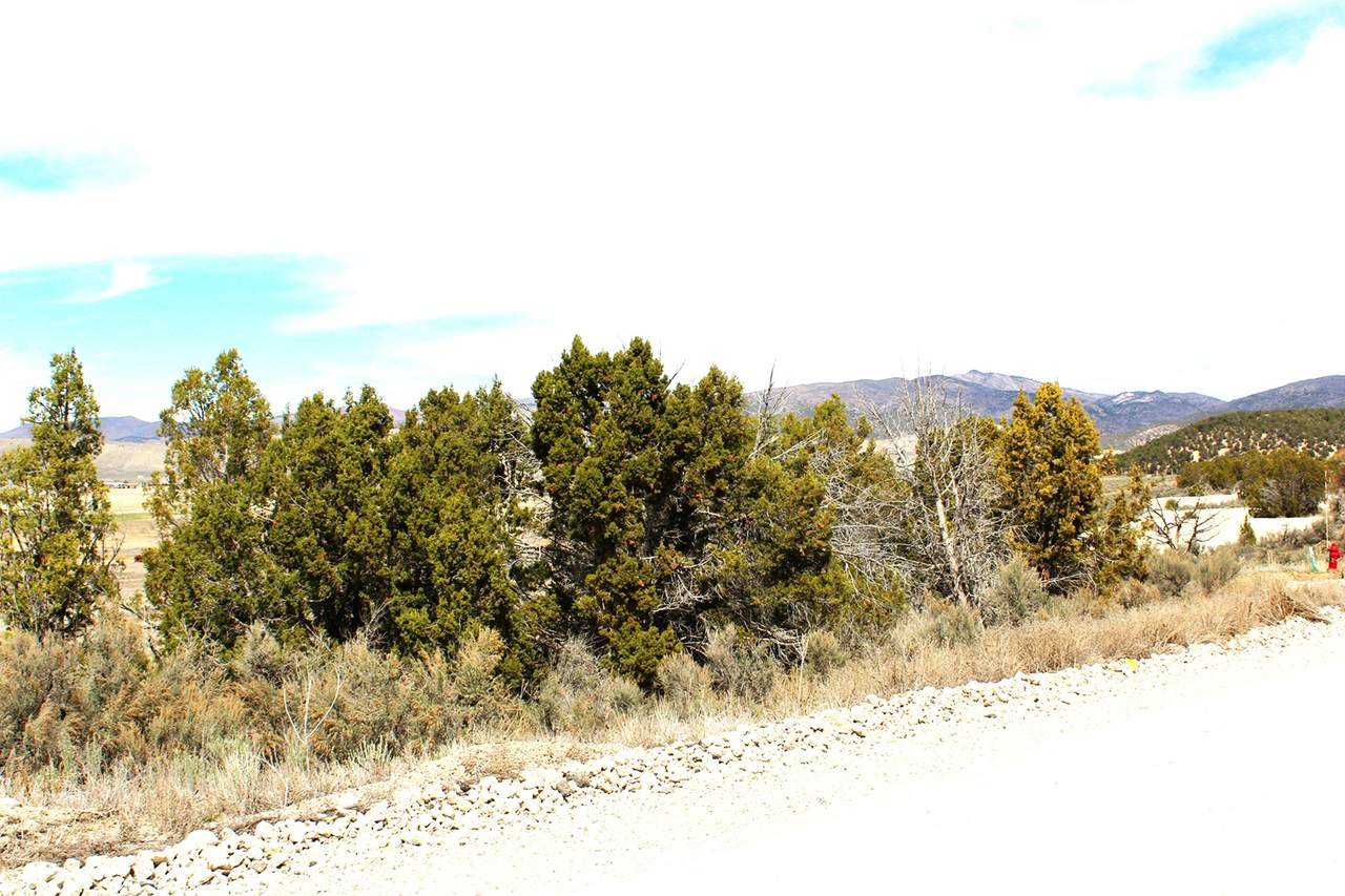 https://bt-photos.global.ssl.fastly.net/wasatch/1280_boomver_1_2145368-1.jpg