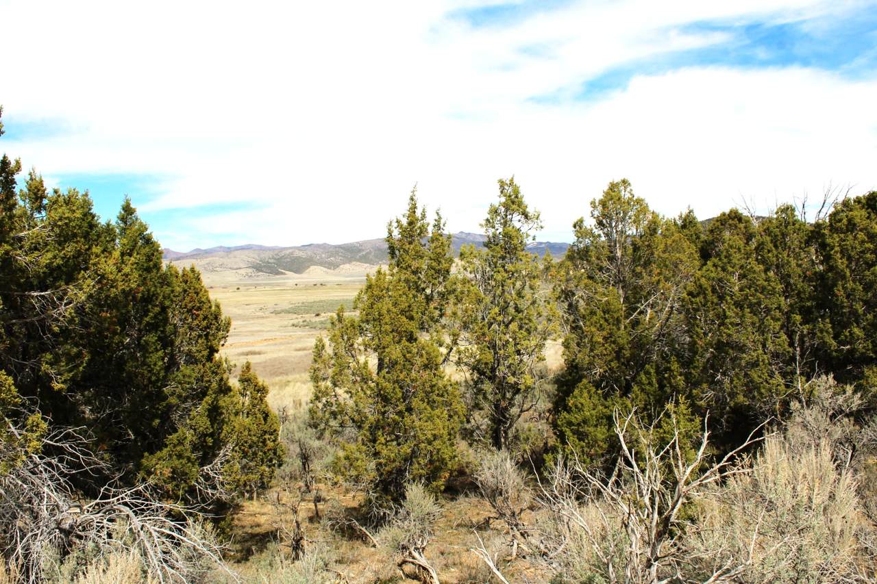 https://bt-photos.global.ssl.fastly.net/wasatch/1280_boomver_1_2145368-1.jpg