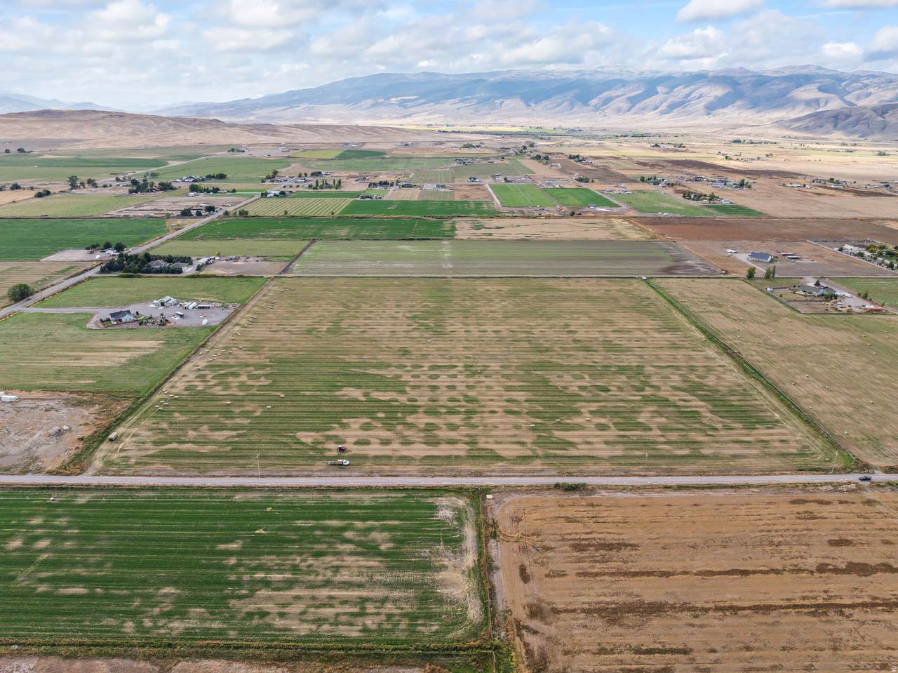 https://bt-photos.global.ssl.fastly.net/wasatch/1280_boomver_1_2145456-1.jpg