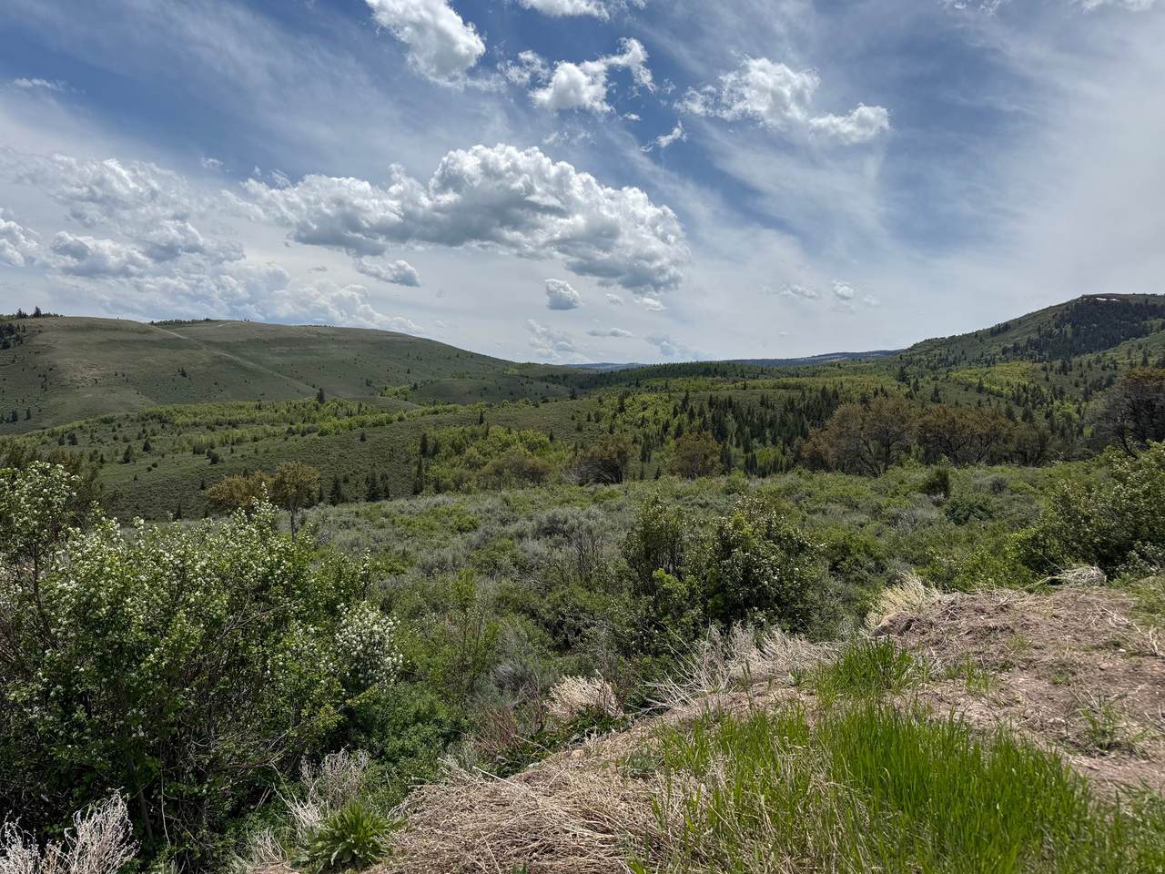 https://bt-photos.global.ssl.fastly.net/wasatch/1280_boomver_1_2146119-1.jpg