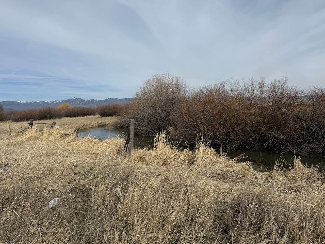 https://bt-photos.global.ssl.fastly.net/wasatch/1280_boomver_1_2146549-1.jpg