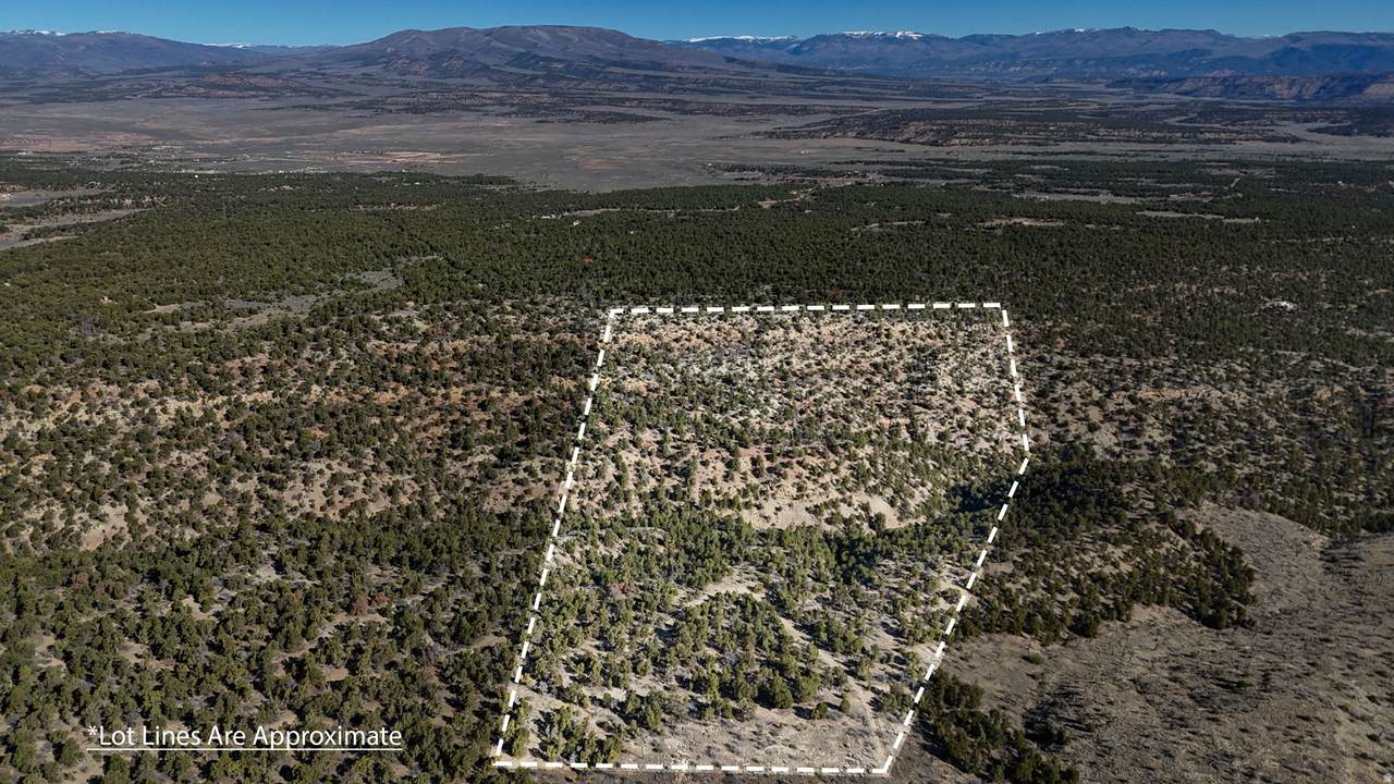 1 Elk Meadows - Photo 1