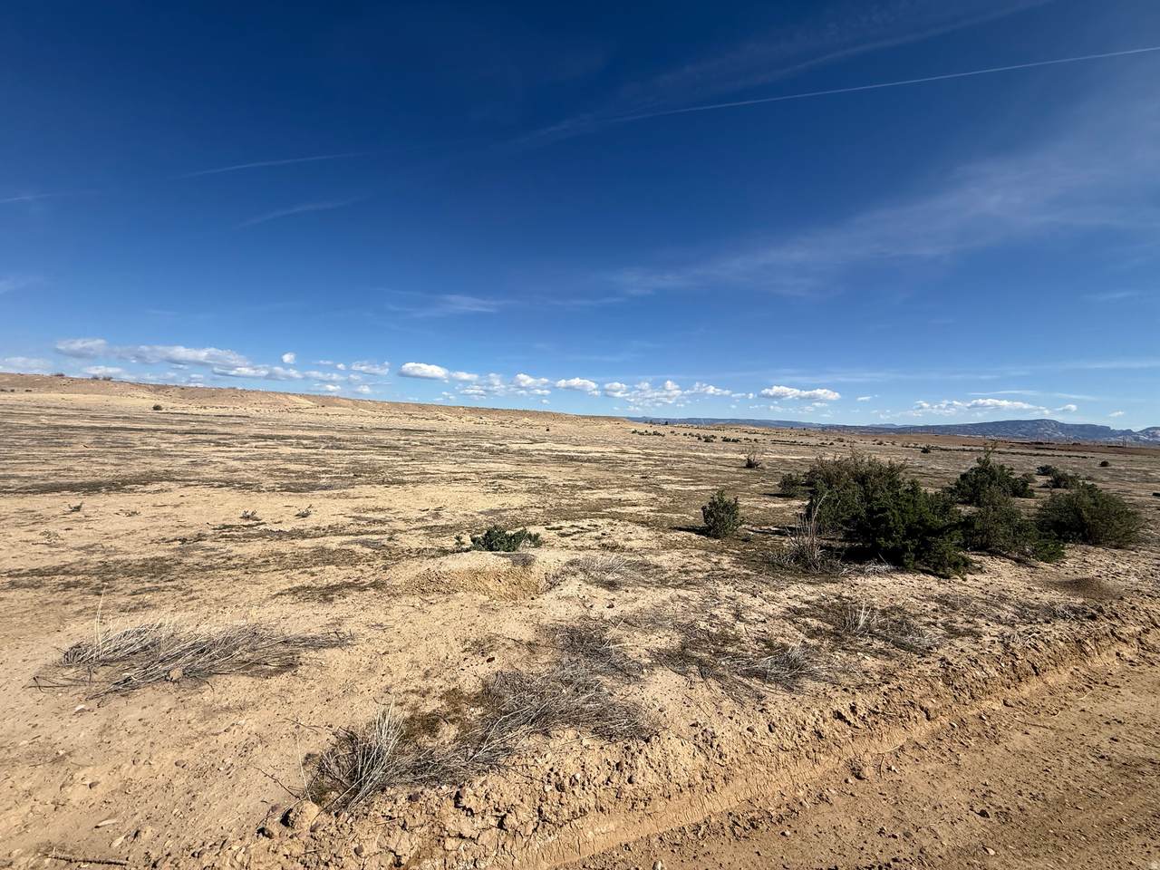 3100 5600 GOOSE RANCH Rd - Photo 1