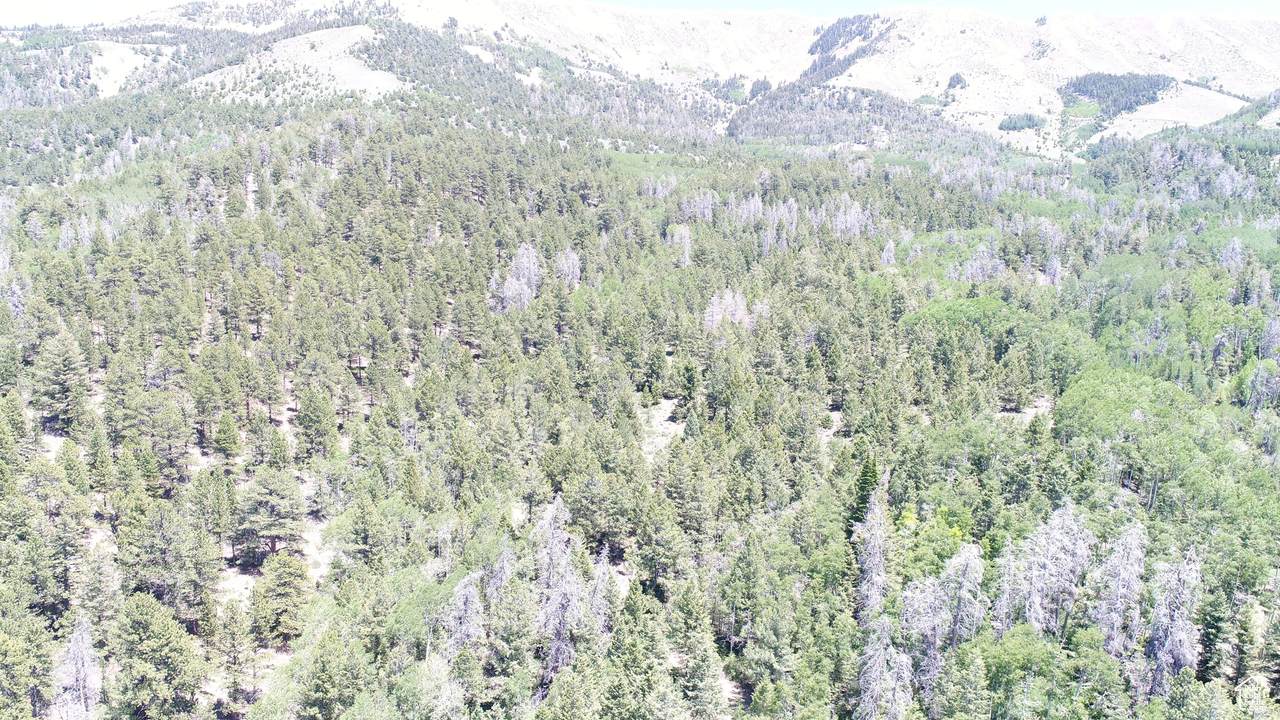 https://bt-photos.global.ssl.fastly.net/wasatch/1280_boomver_1_2147399-1.jpg