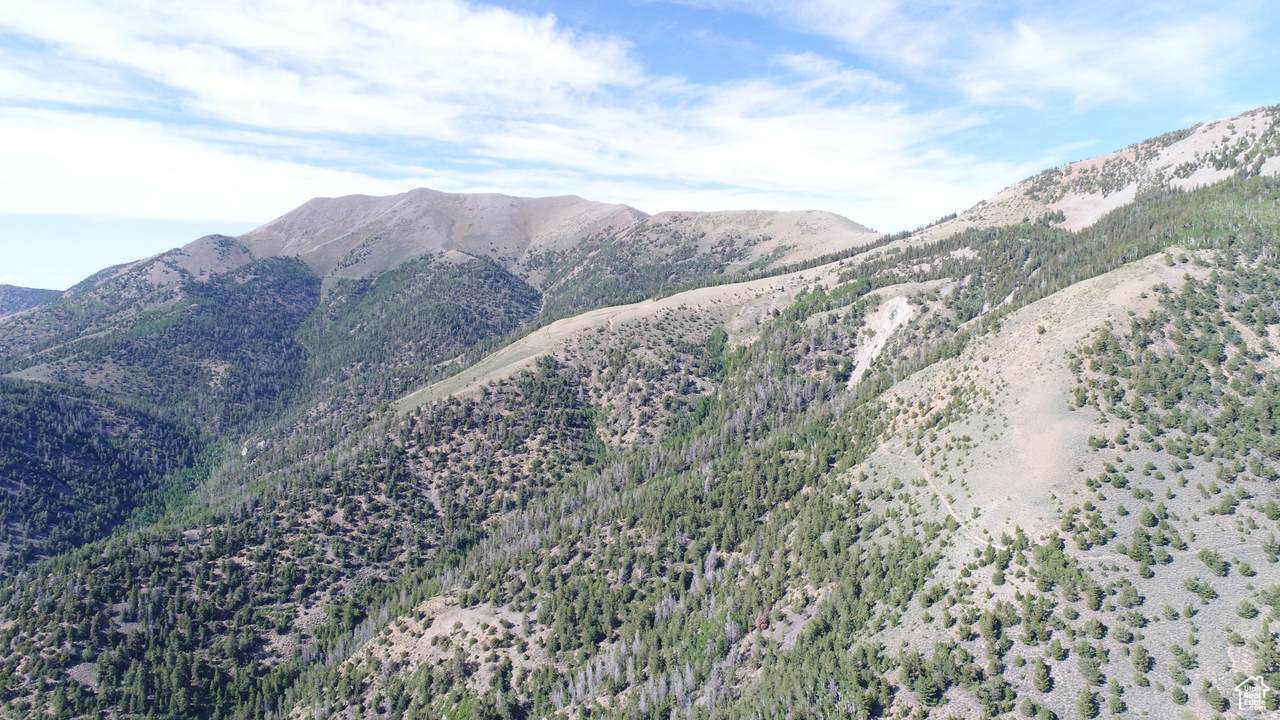 https://bt-photos.global.ssl.fastly.net/wasatch/1280_boomver_1_2147399-1.jpg
