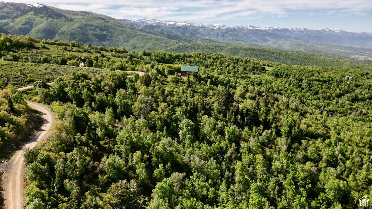 https://bt-photos.global.ssl.fastly.net/wasatch/1280_boomver_1_2147406-1.jpg