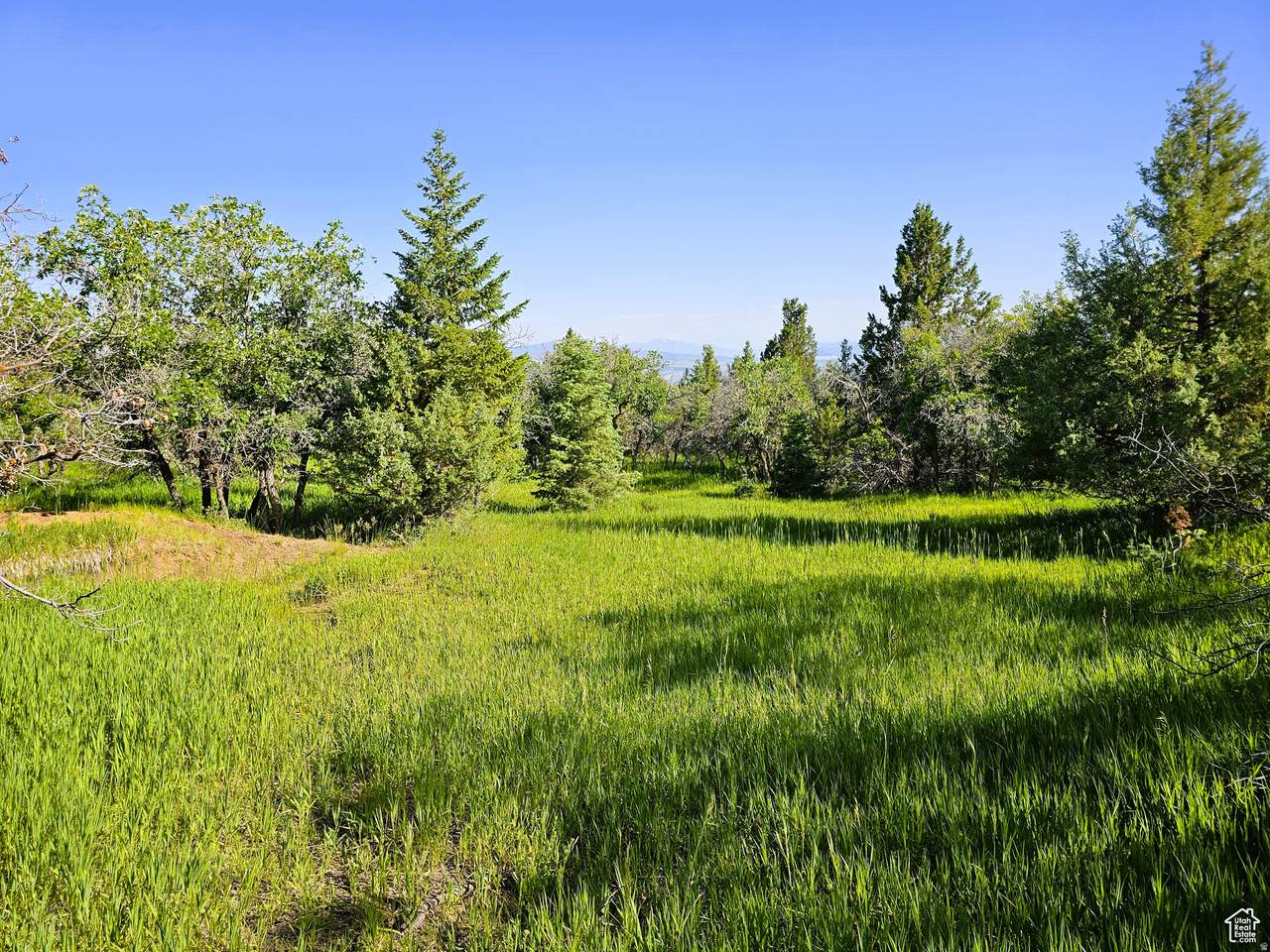 2 Whispering Pines Rd - Photo 1
