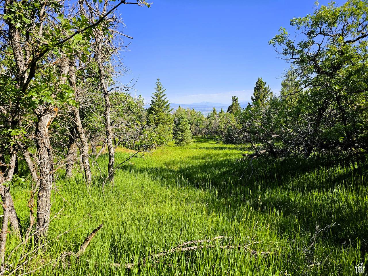 https://bt-photos.global.ssl.fastly.net/wasatch/1280_boomver_1_2147466-1.jpg