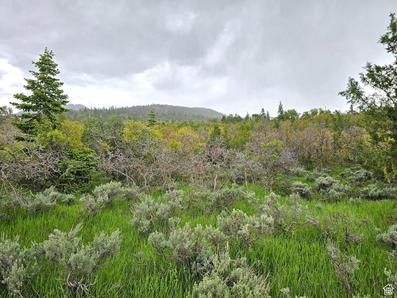 https://bt-photos.global.ssl.fastly.net/wasatch/1280_boomver_1_2147467-1.jpg
