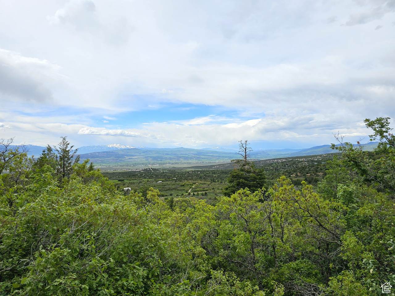 https://bt-photos.global.ssl.fastly.net/wasatch/1280_boomver_1_2147468-1.jpg