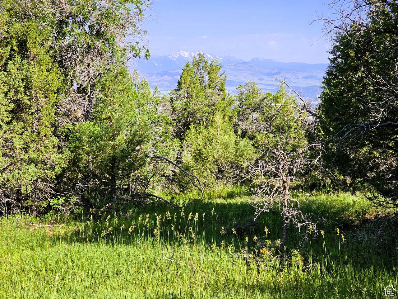 https://bt-photos.global.ssl.fastly.net/wasatch/1280_boomver_1_2147468-1.jpg