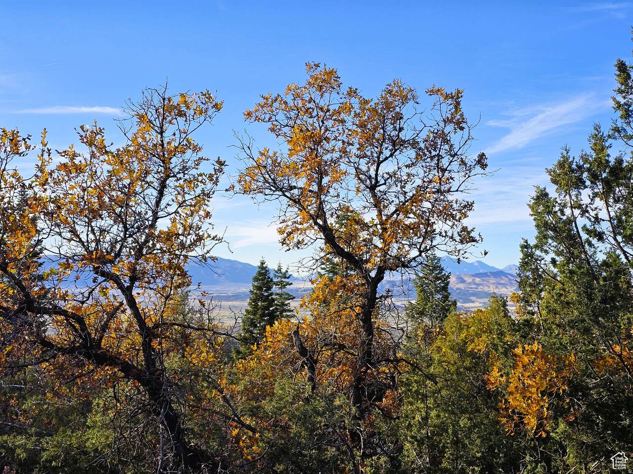 https://bt-photos.global.ssl.fastly.net/wasatch/1280_boomver_1_2147468-1.jpg