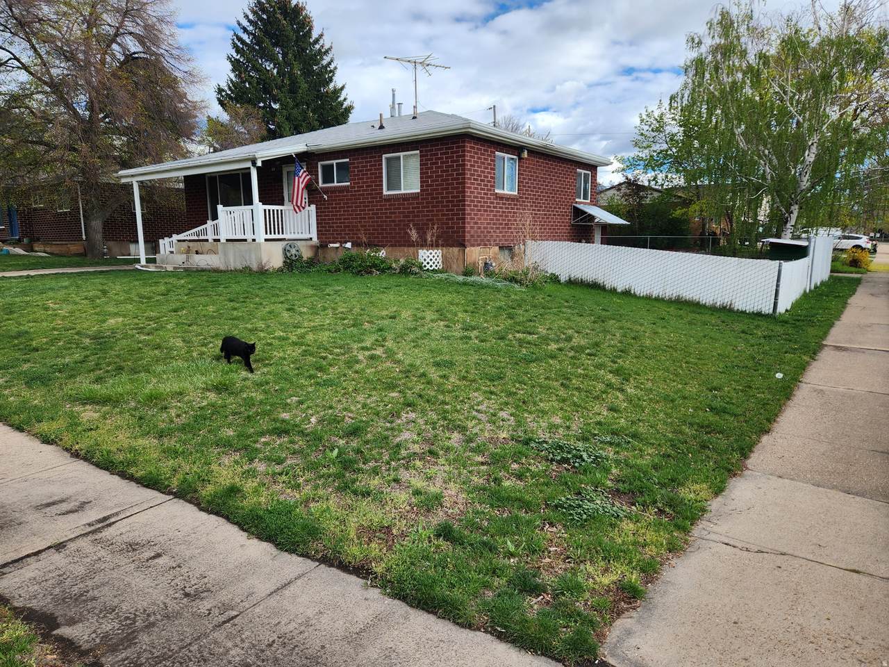 1005 Douglas St - Photo 1