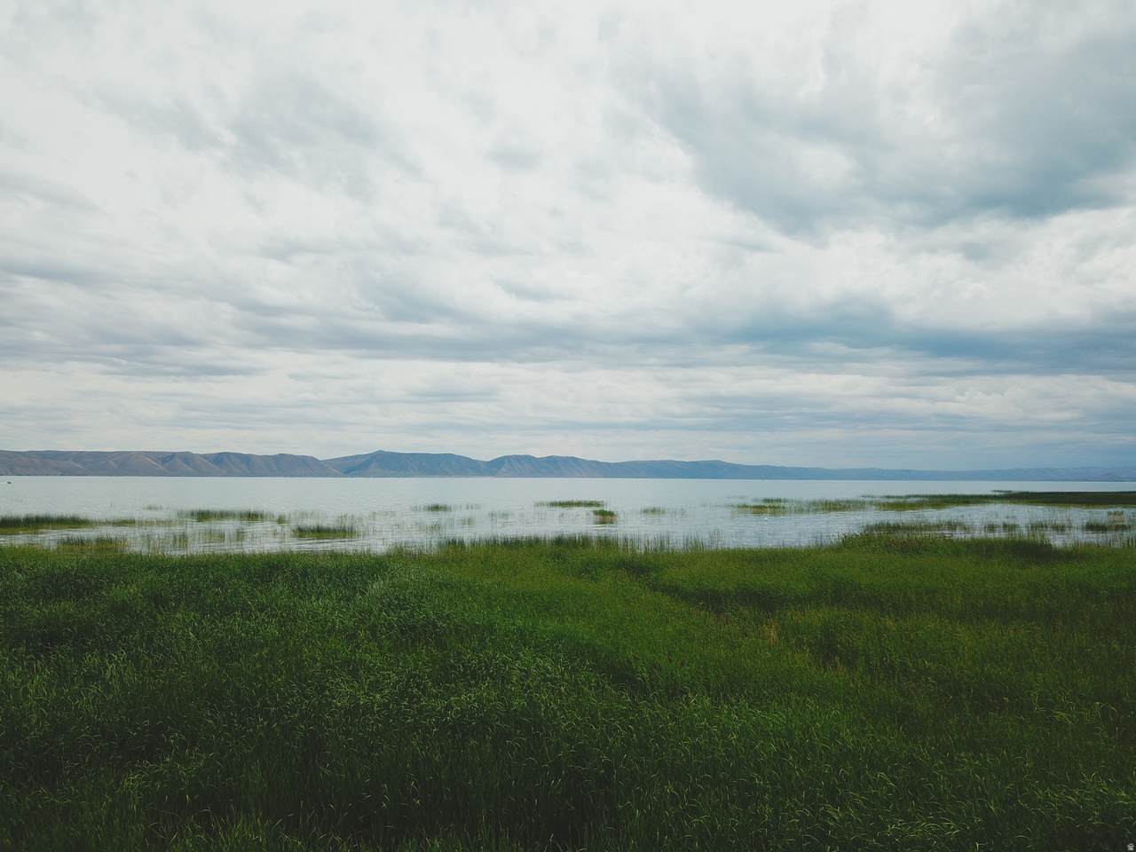 https://bt-photos.global.ssl.fastly.net/wasatch/1280_boomver_1_2148313-1.jpg