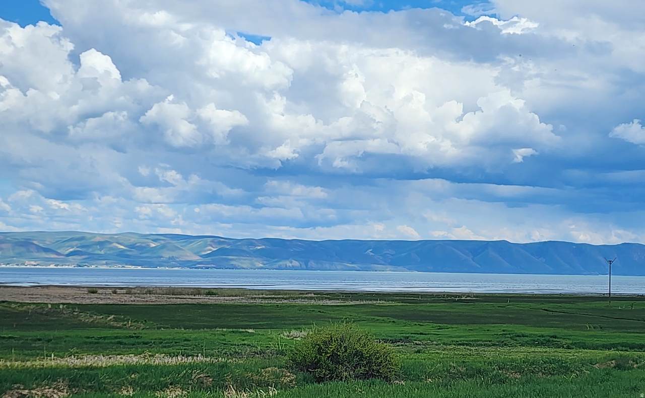 https://bt-photos.global.ssl.fastly.net/wasatch/1280_boomver_1_2148313-1.jpg