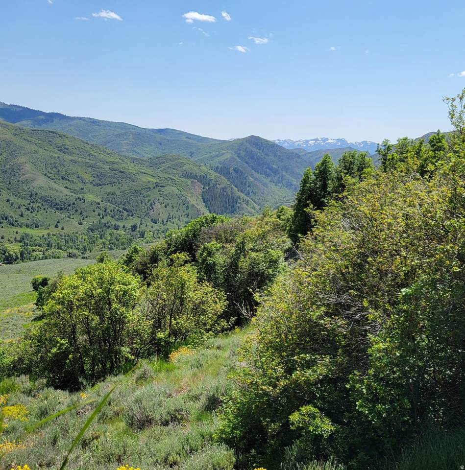https://bt-photos.global.ssl.fastly.net/wasatch/1280_boomver_1_2148439-1.jpg
