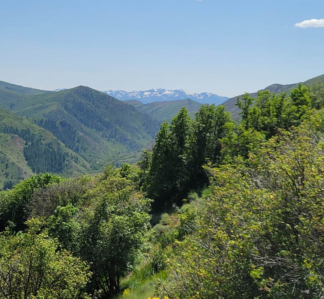 https://bt-photos.global.ssl.fastly.net/wasatch/1280_boomver_1_2148439-1.jpg