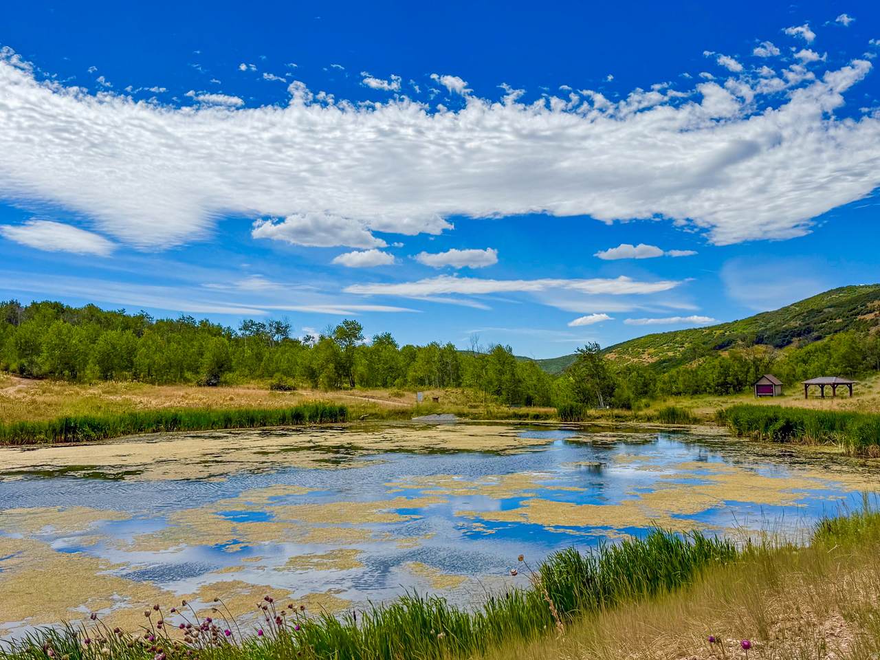 https://bt-photos.global.ssl.fastly.net/wasatch/1280_boomver_1_2148522-1.jpg