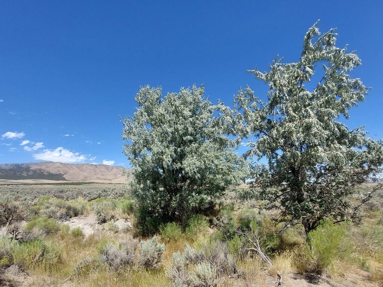 https://bt-photos.global.ssl.fastly.net/wasatch/1280_boomver_1_2148704-1.jpg