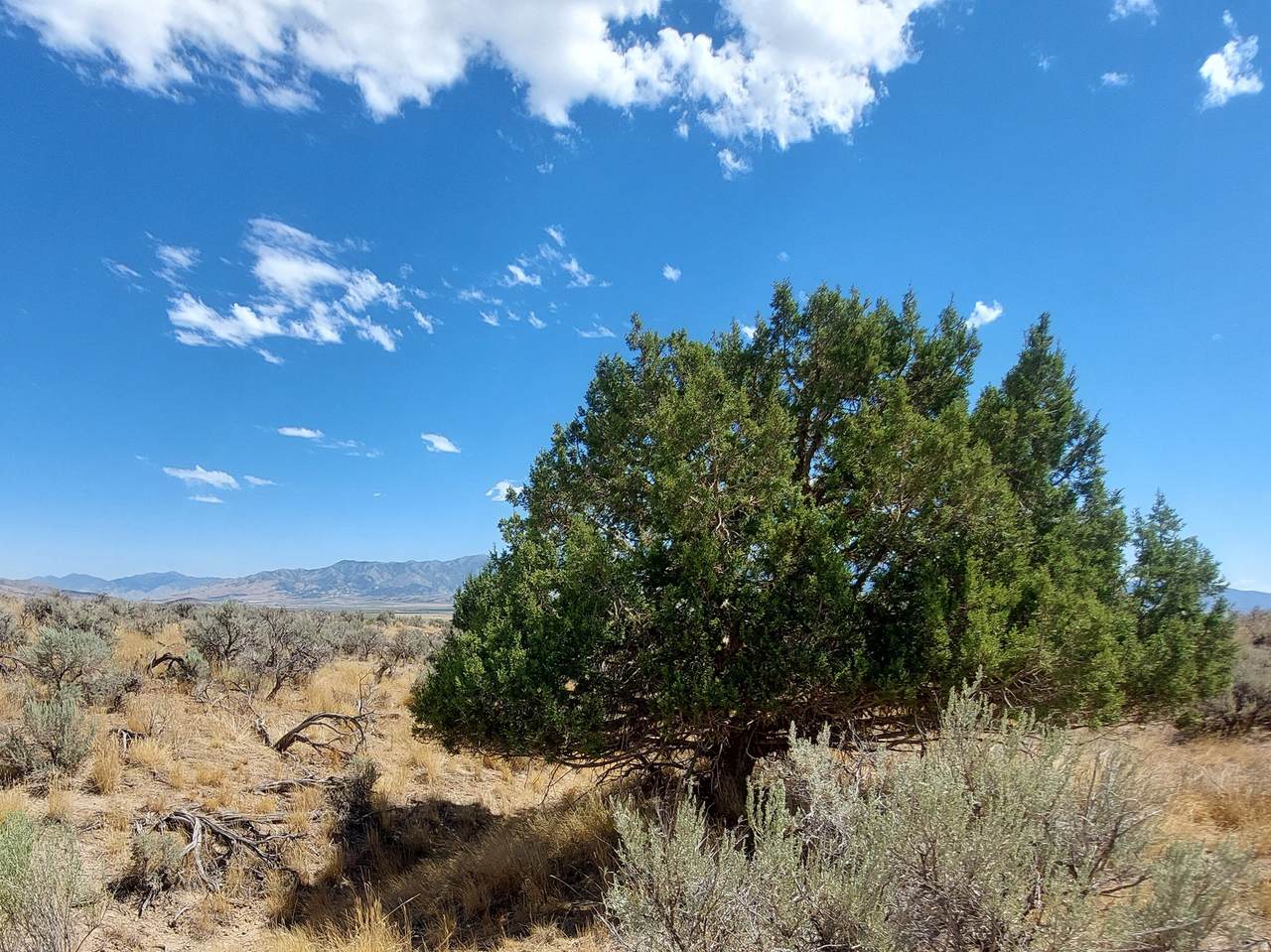 https://bt-photos.global.ssl.fastly.net/wasatch/1280_boomver_1_2148704-1.jpg