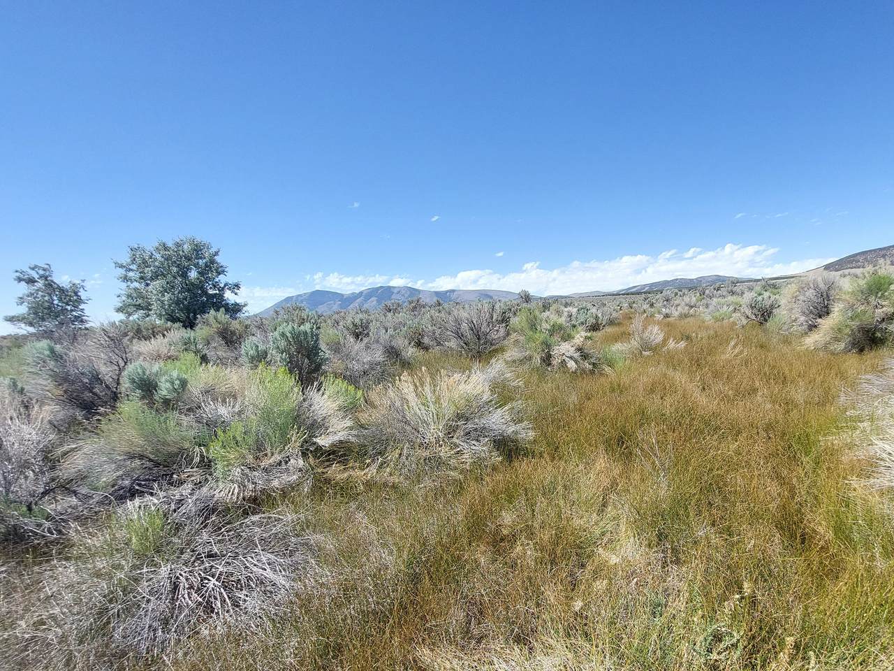 https://bt-photos.global.ssl.fastly.net/wasatch/1280_boomver_1_2148704-1.jpg