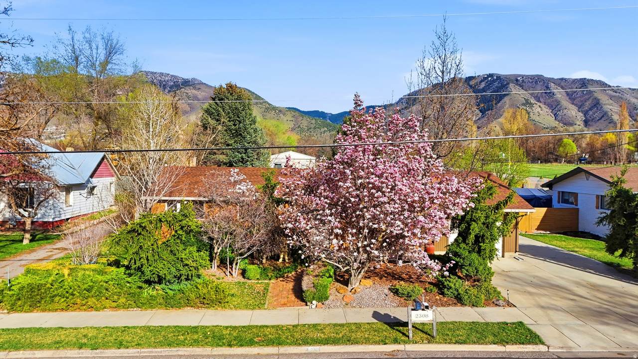 https://bt-photos.global.ssl.fastly.net/wasatch/1280_boomver_1_2148793-1.jpg
