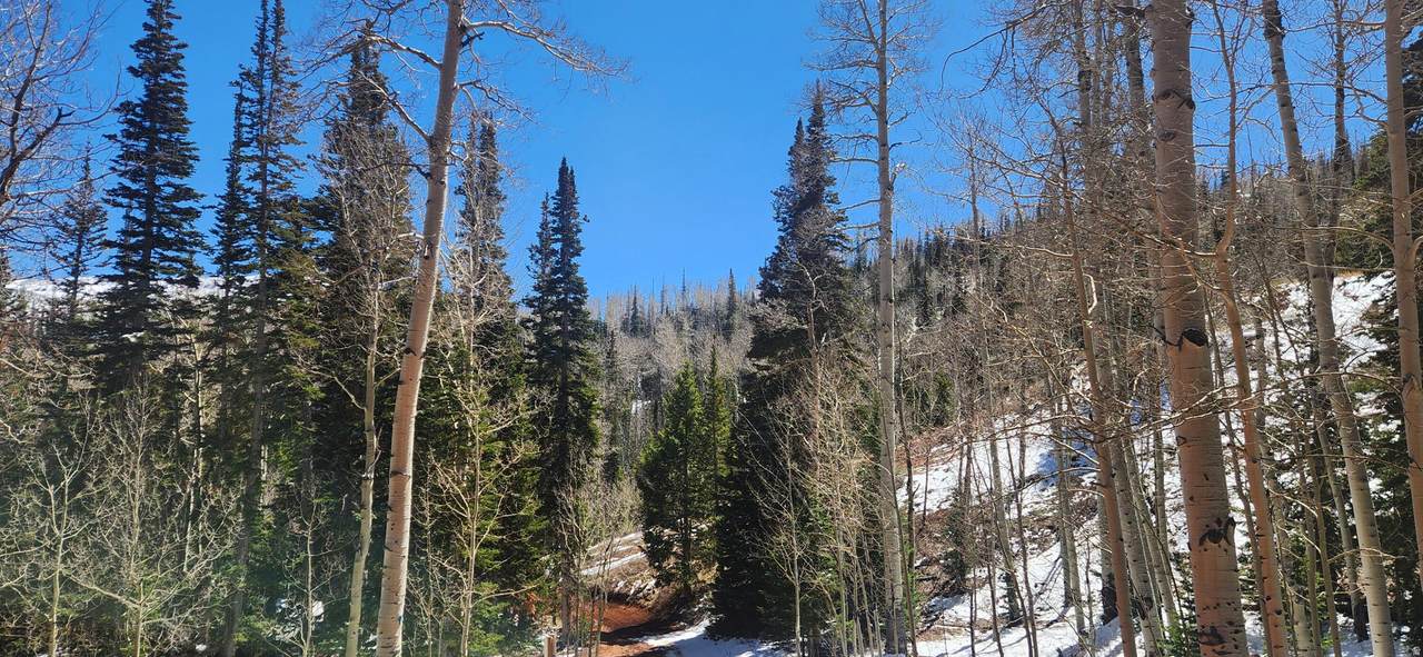 https://bt-photos.global.ssl.fastly.net/wasatch/1280_boomver_1_2148905-1.jpg
