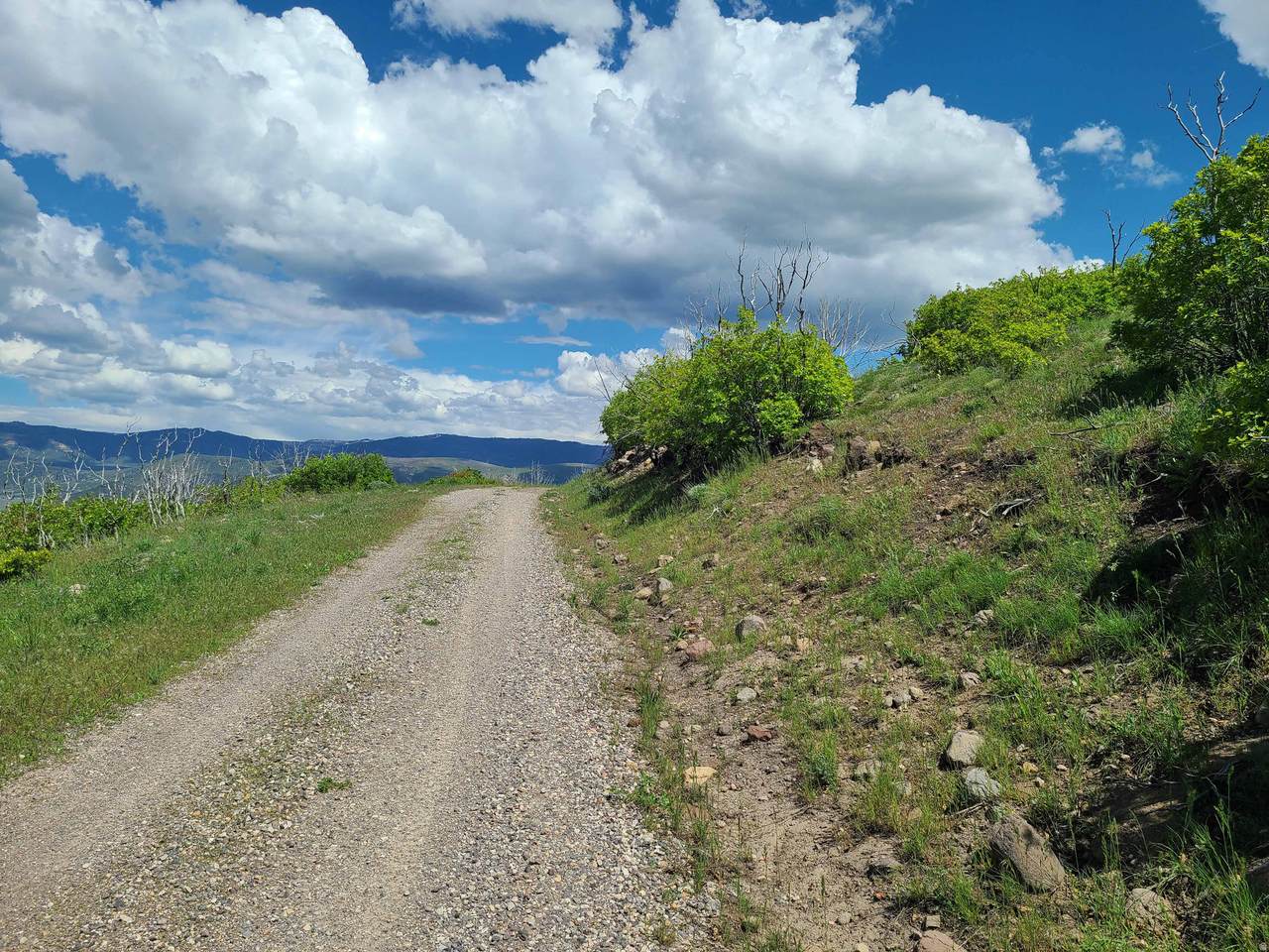 5 Thunder Cloud Cir - Photo 1