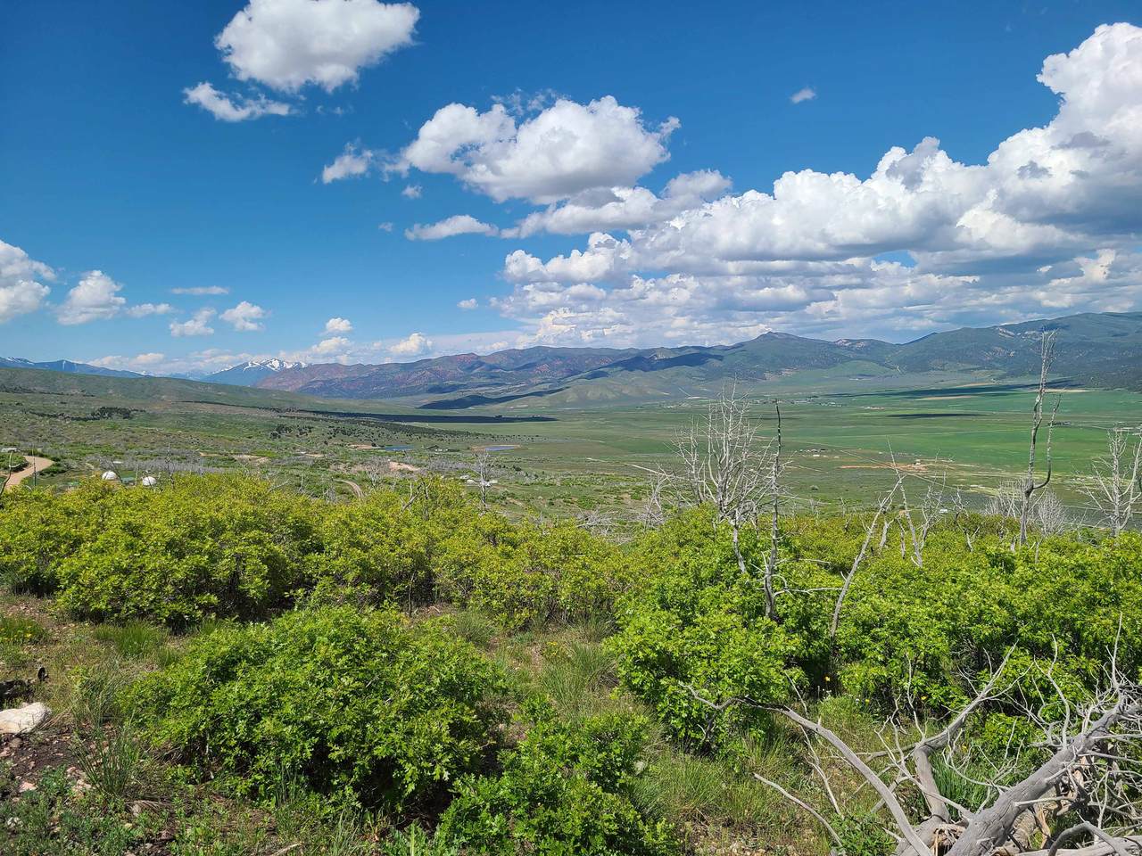 https://bt-photos.global.ssl.fastly.net/wasatch/1280_boomver_1_2148971-1.jpg